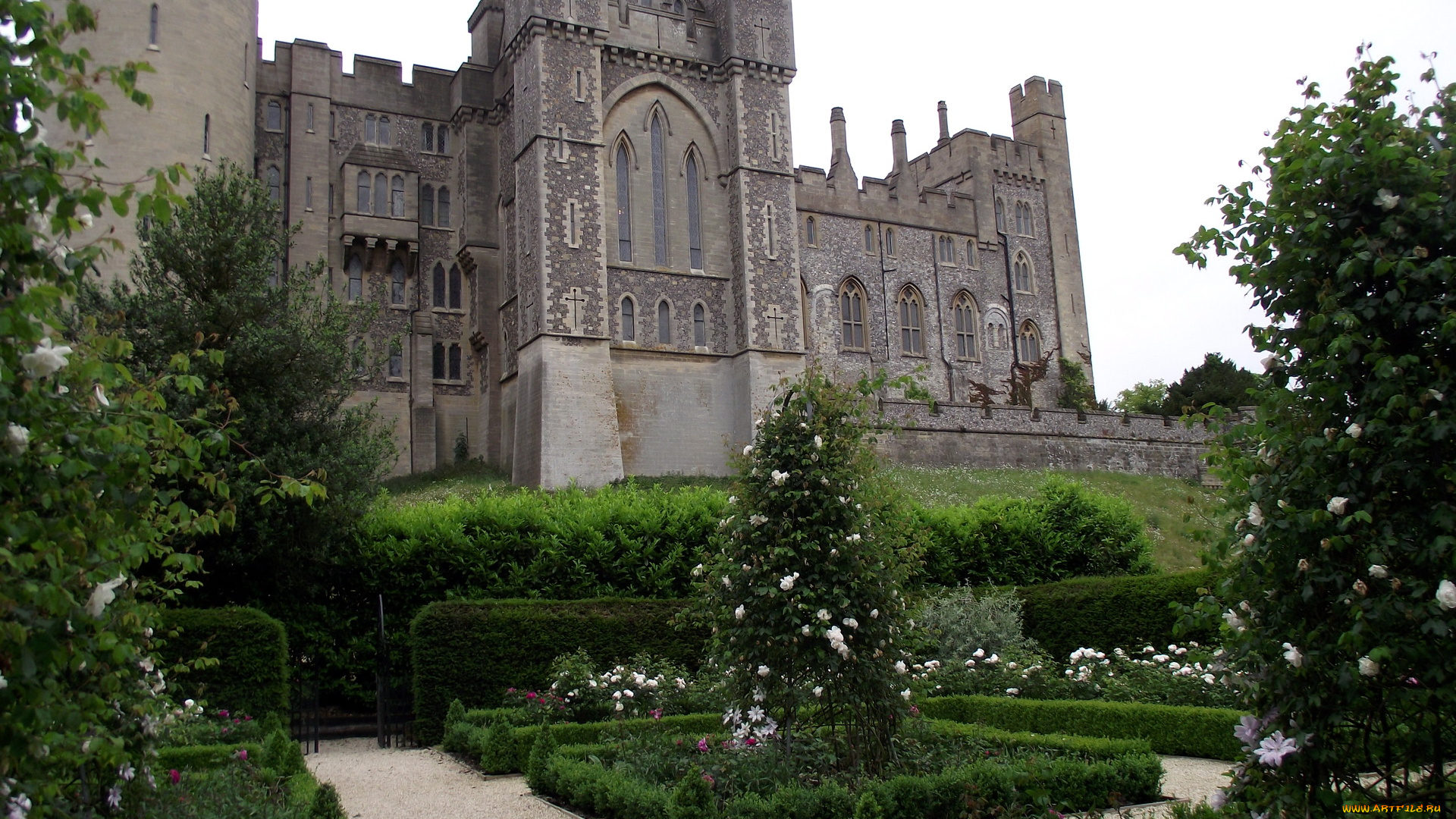 города, дворцы, замки, крепости, замок, кусты, розы
