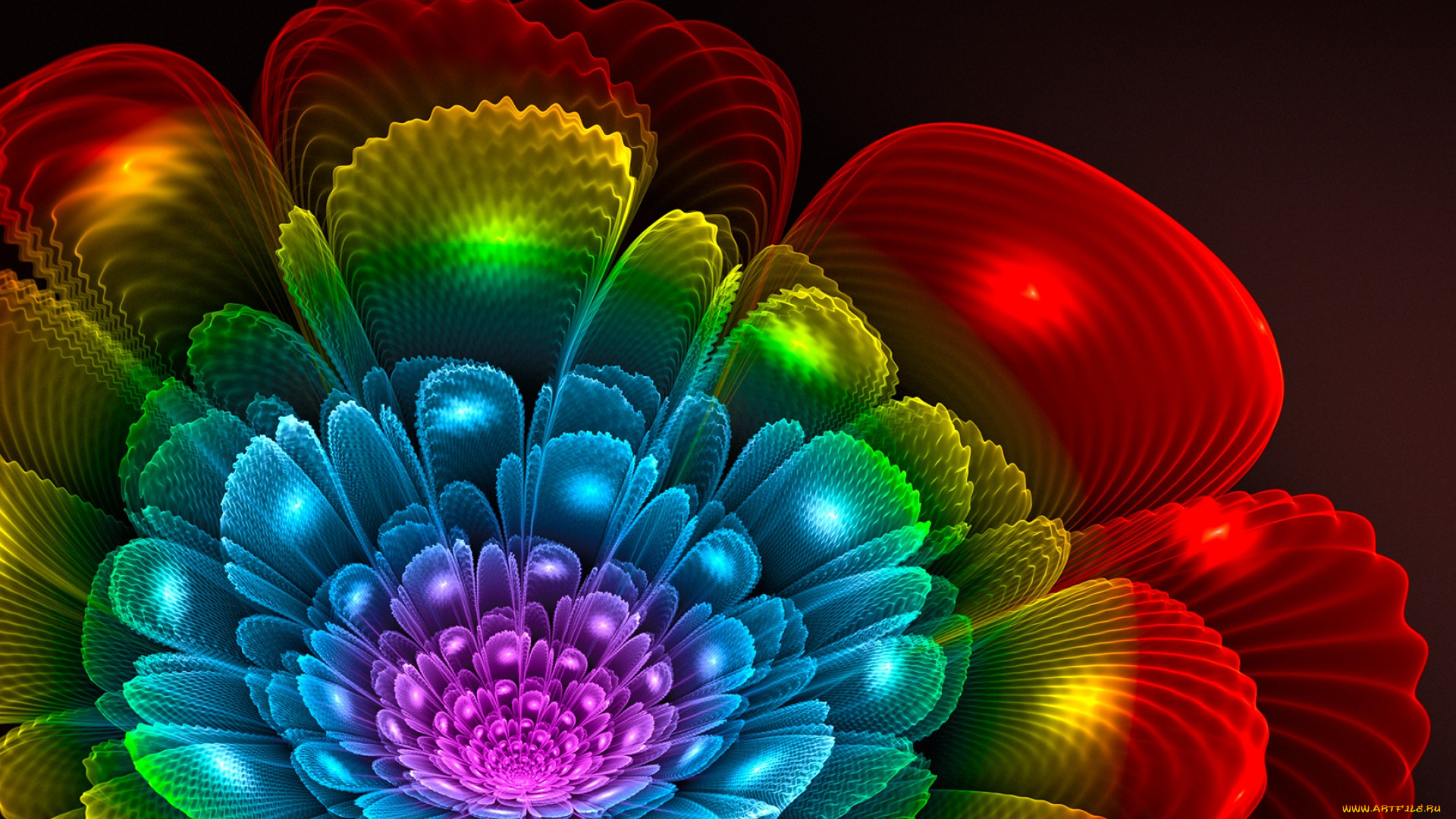 3д, графика, flowers, цветы, цветок