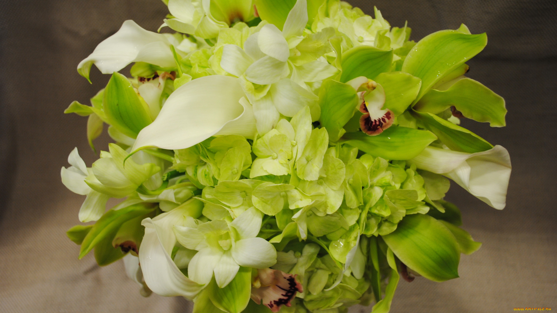 цветы, букеты, композиции, букет