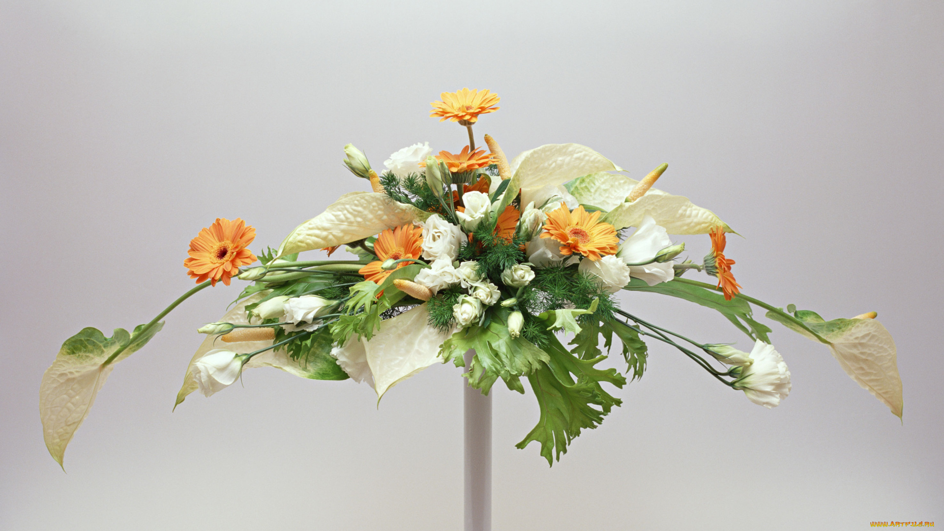цветы, букеты, композиции, лепестки, листья