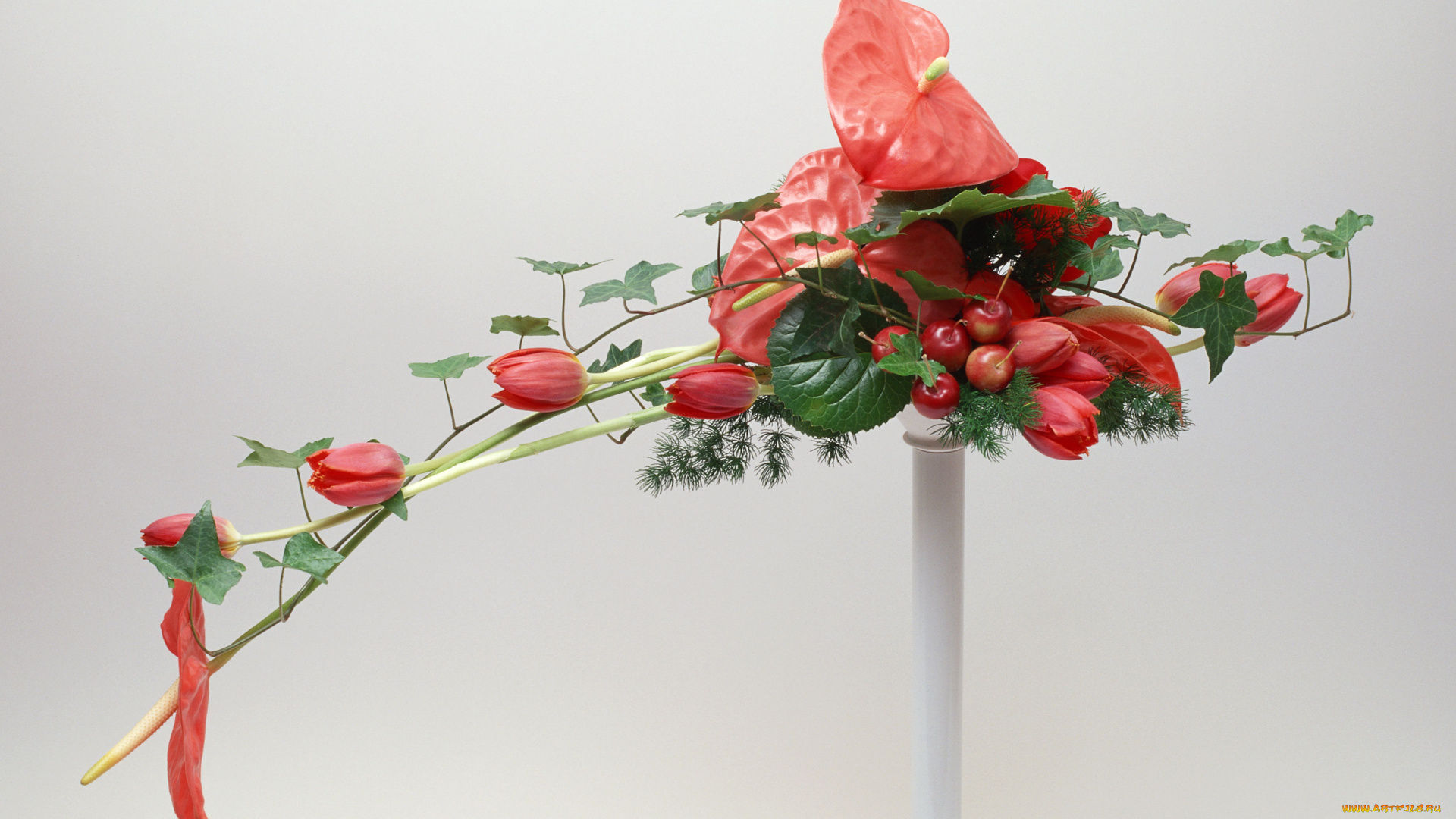 цветы, букеты, композиции, лепестки, рябина, фон