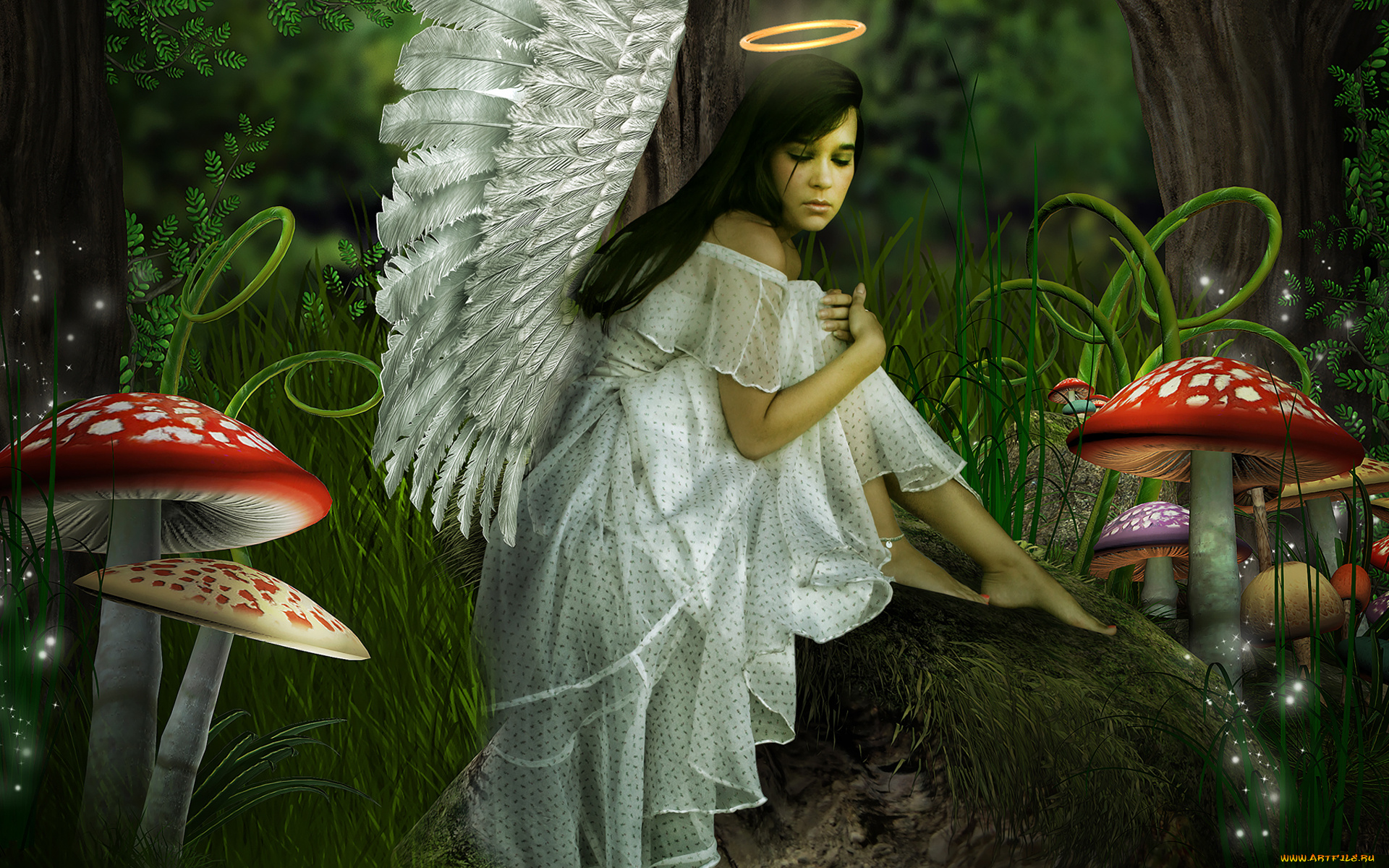 разное, компьютерный, дизайн, грибы, дерево, трава, платье, нимб, ангел