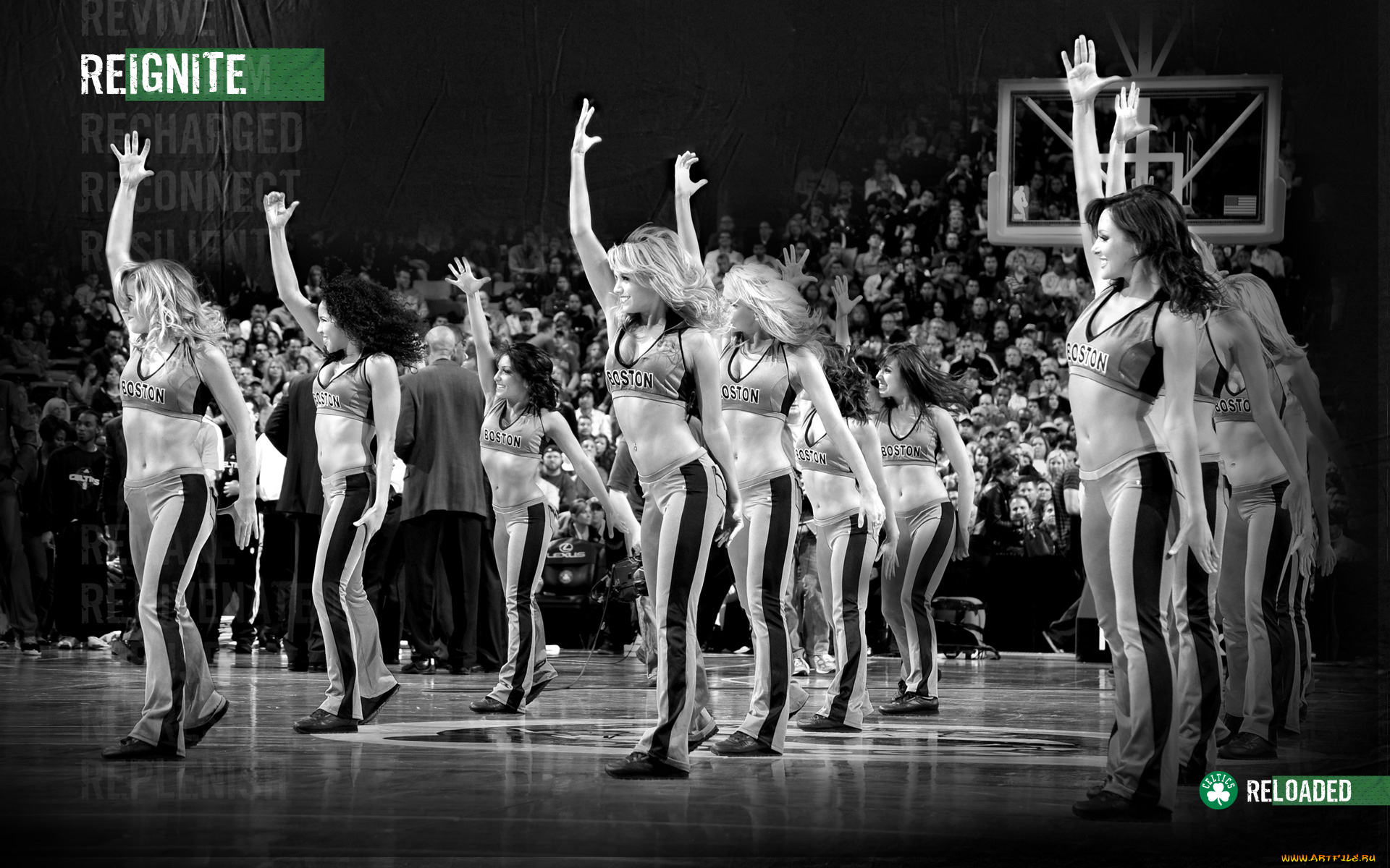 спорт, группы, поддержки, девушка, баскетбол