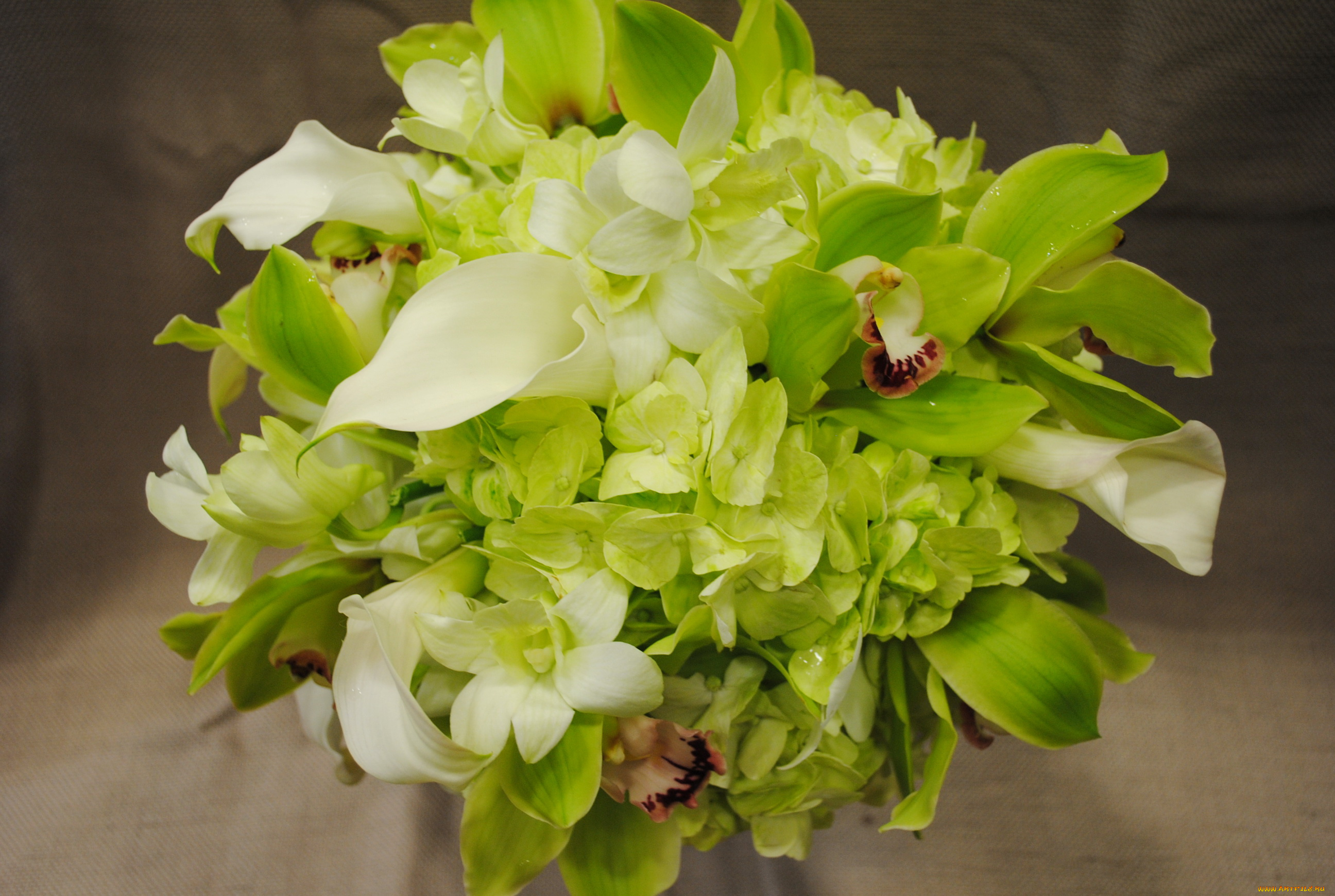 цветы, букеты, композиции, букет