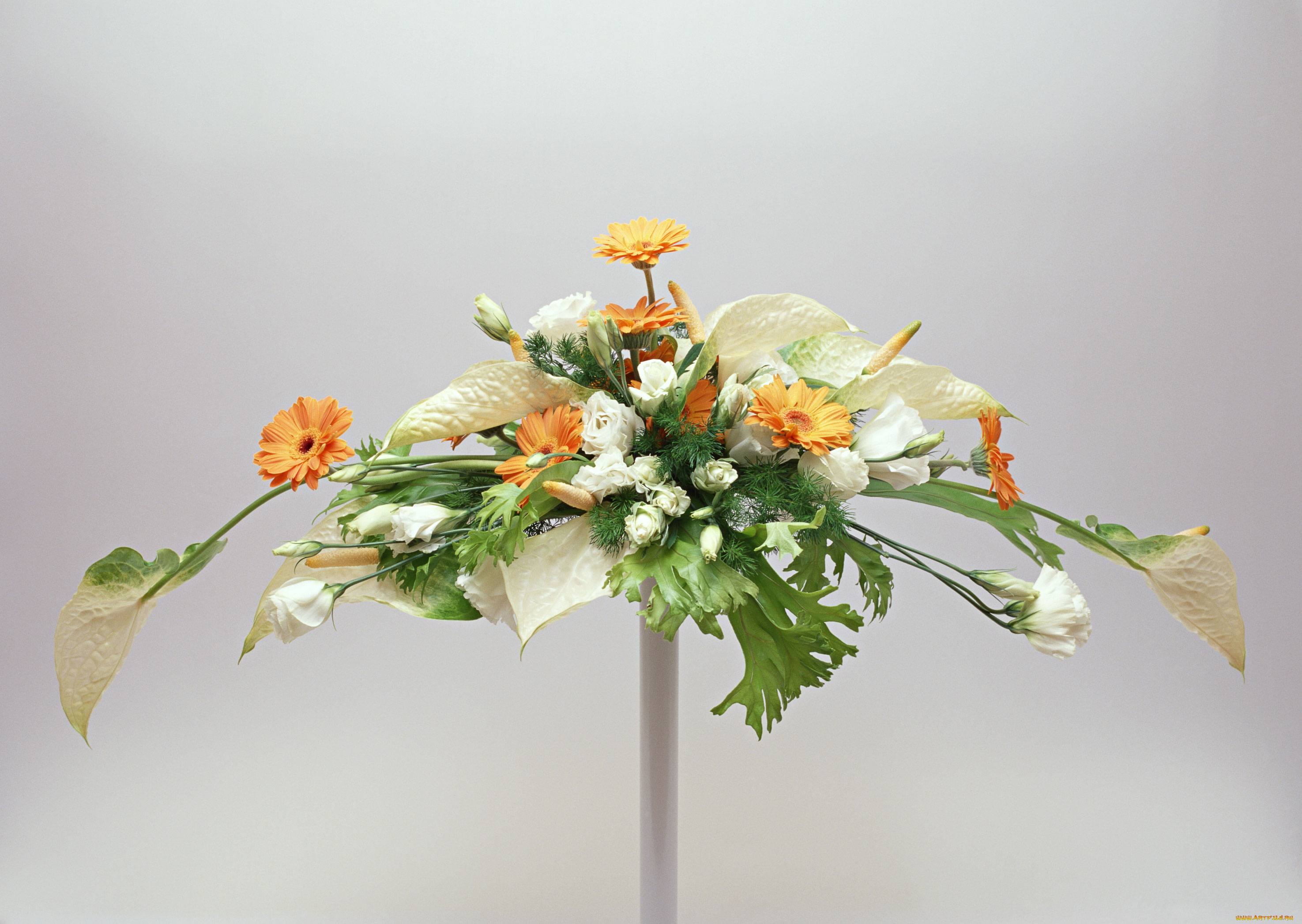 цветы, букеты, композиции, лепестки, листья