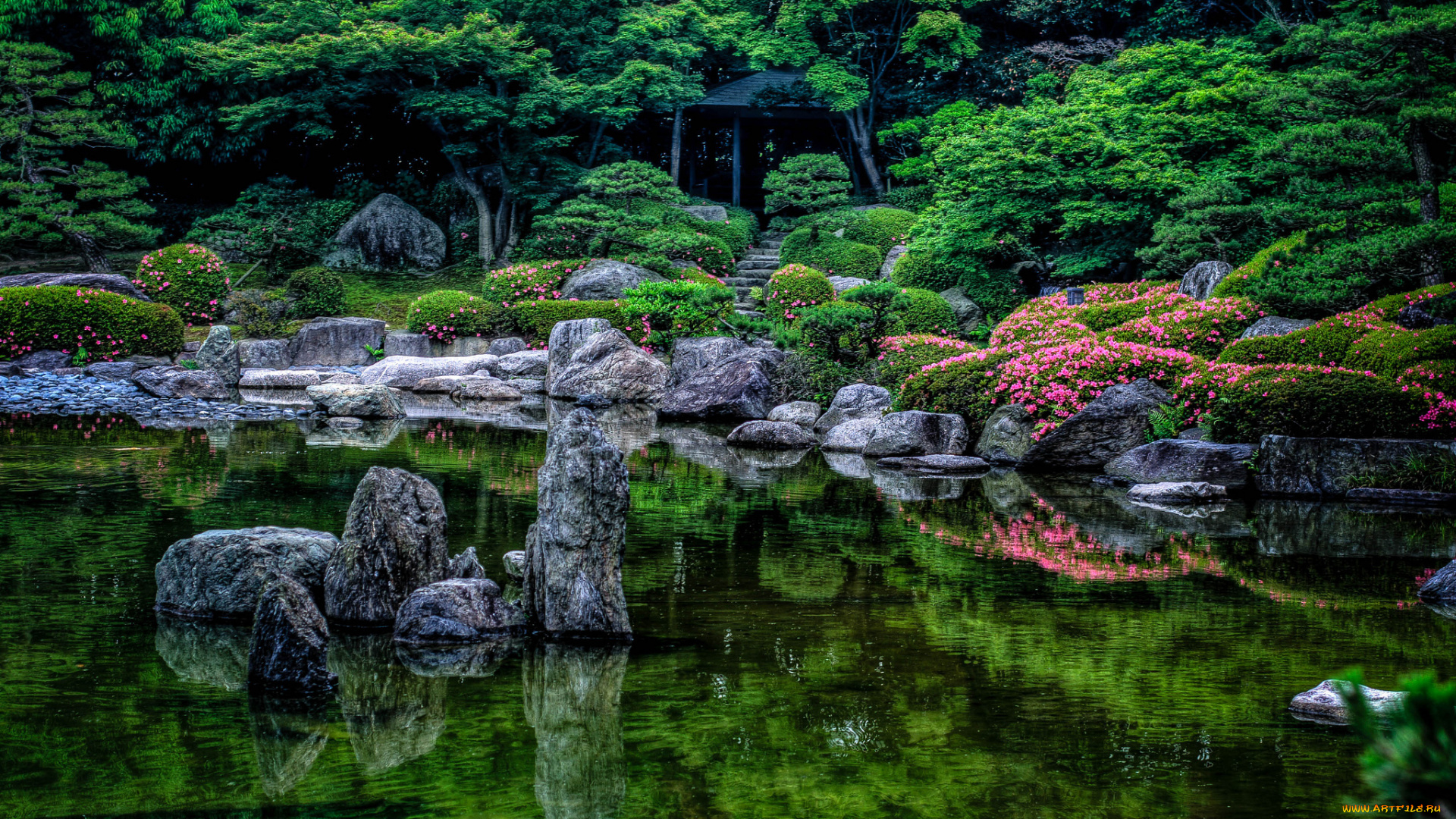 природа, парк, пруд, камни, растения, дорожка