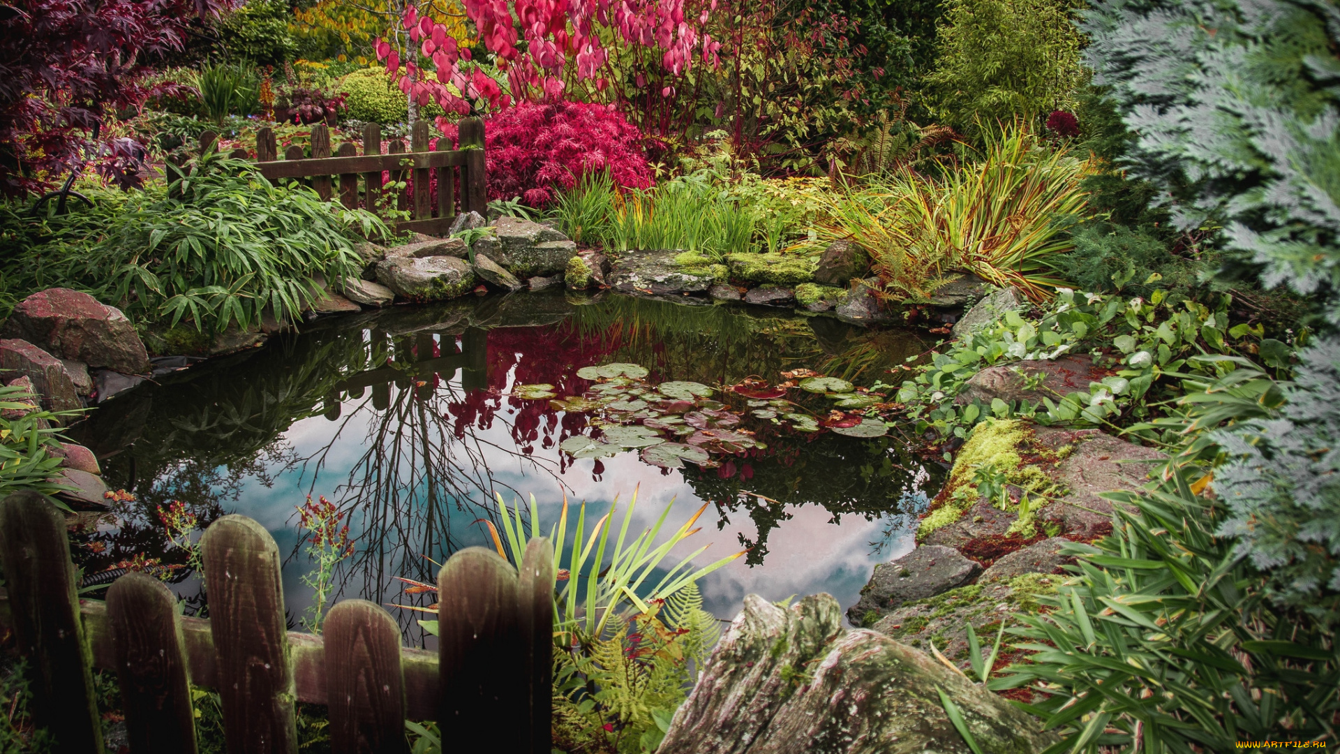 природа, парк, пруд, зелень