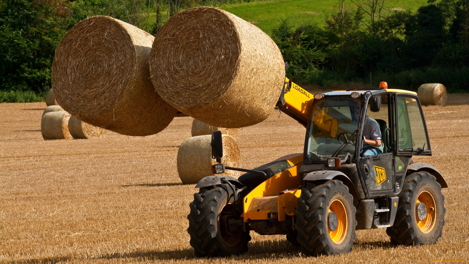 техника, автопогрузчики, трактор, уборочная, поле, сено