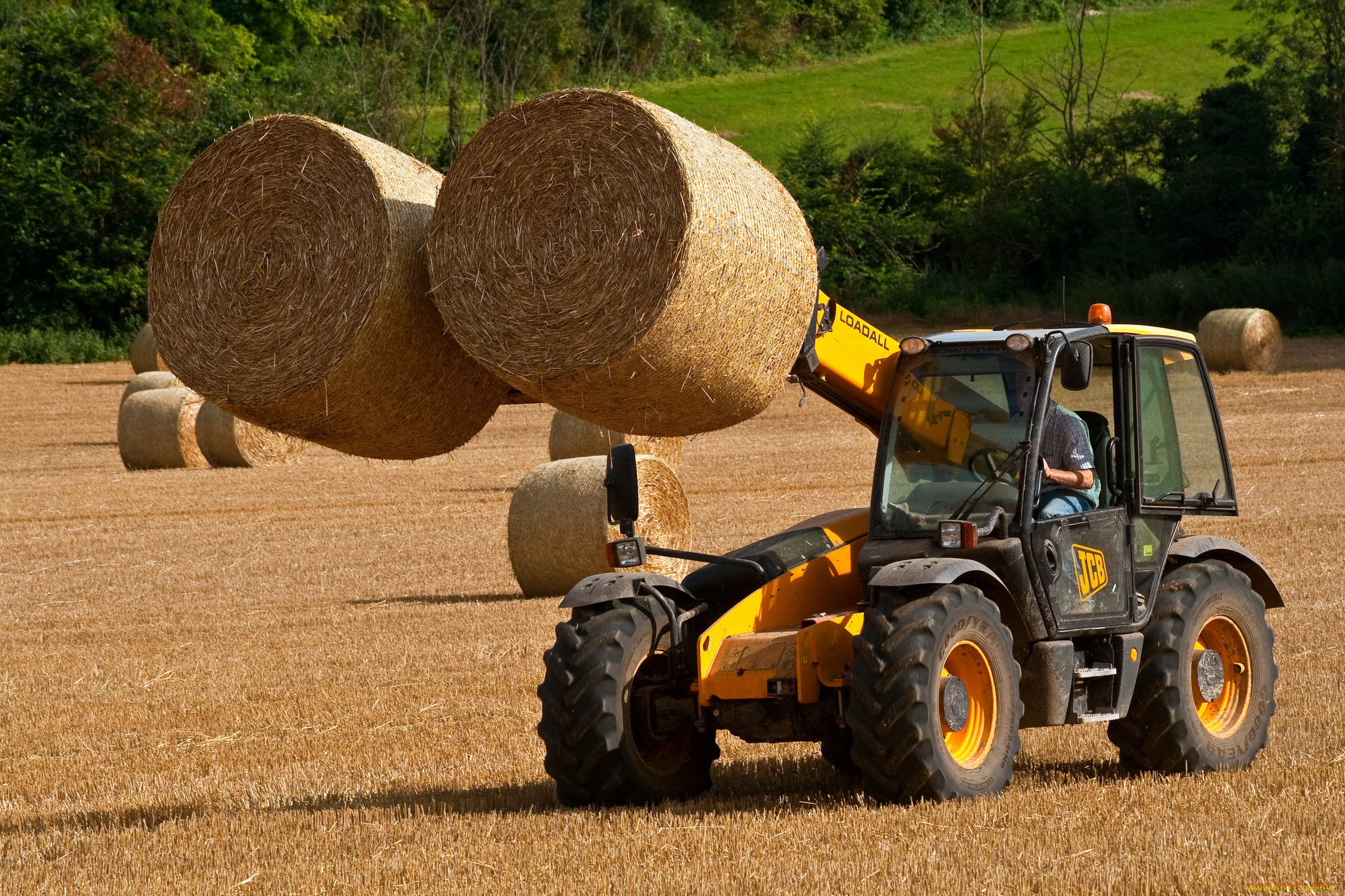 техника, автопогрузчики, трактор, уборочная, поле, сено