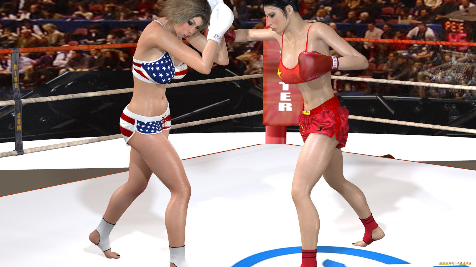 эротика, 3д-эротика, перчатки, бокс, ринг, девушки
