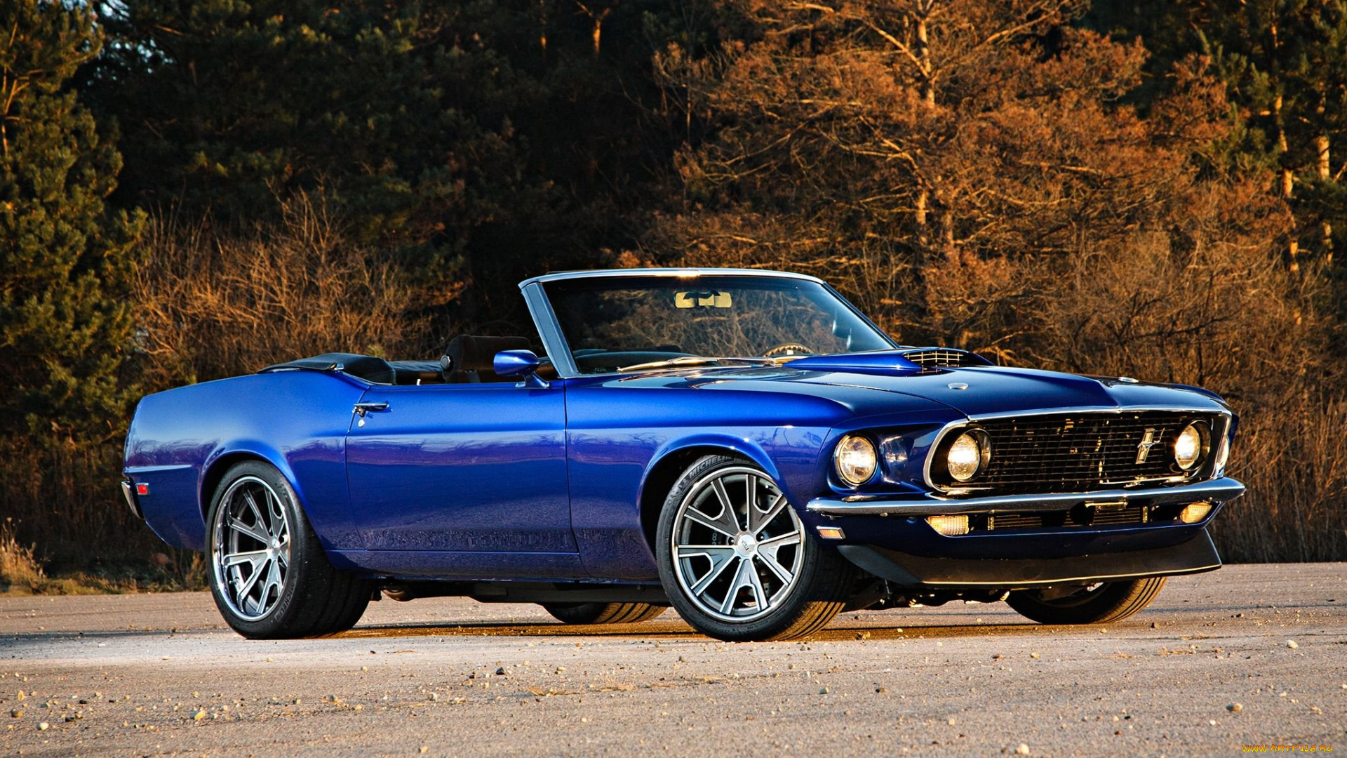 автомобили, mustang