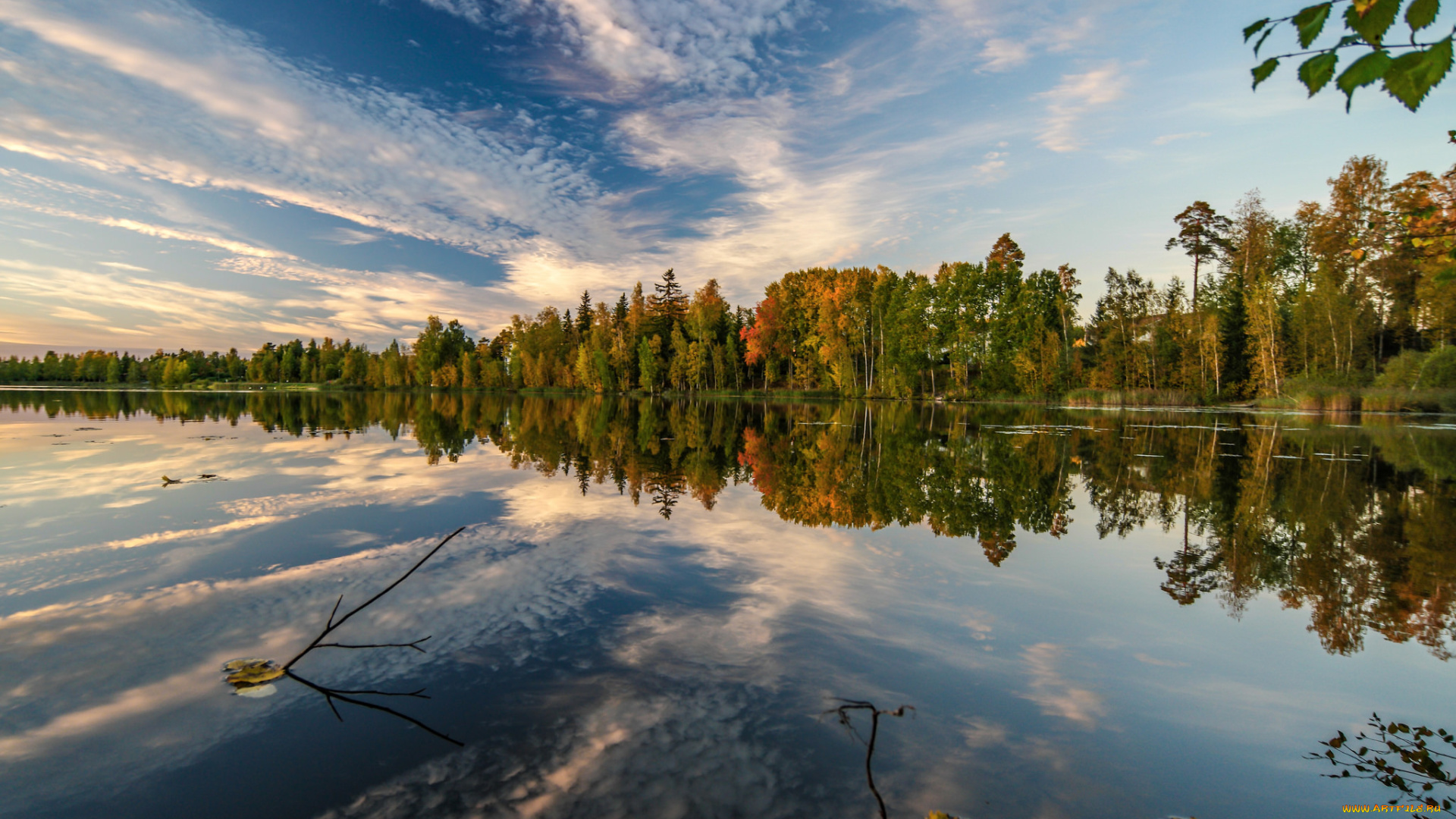 природа, реки, озера, лес, река