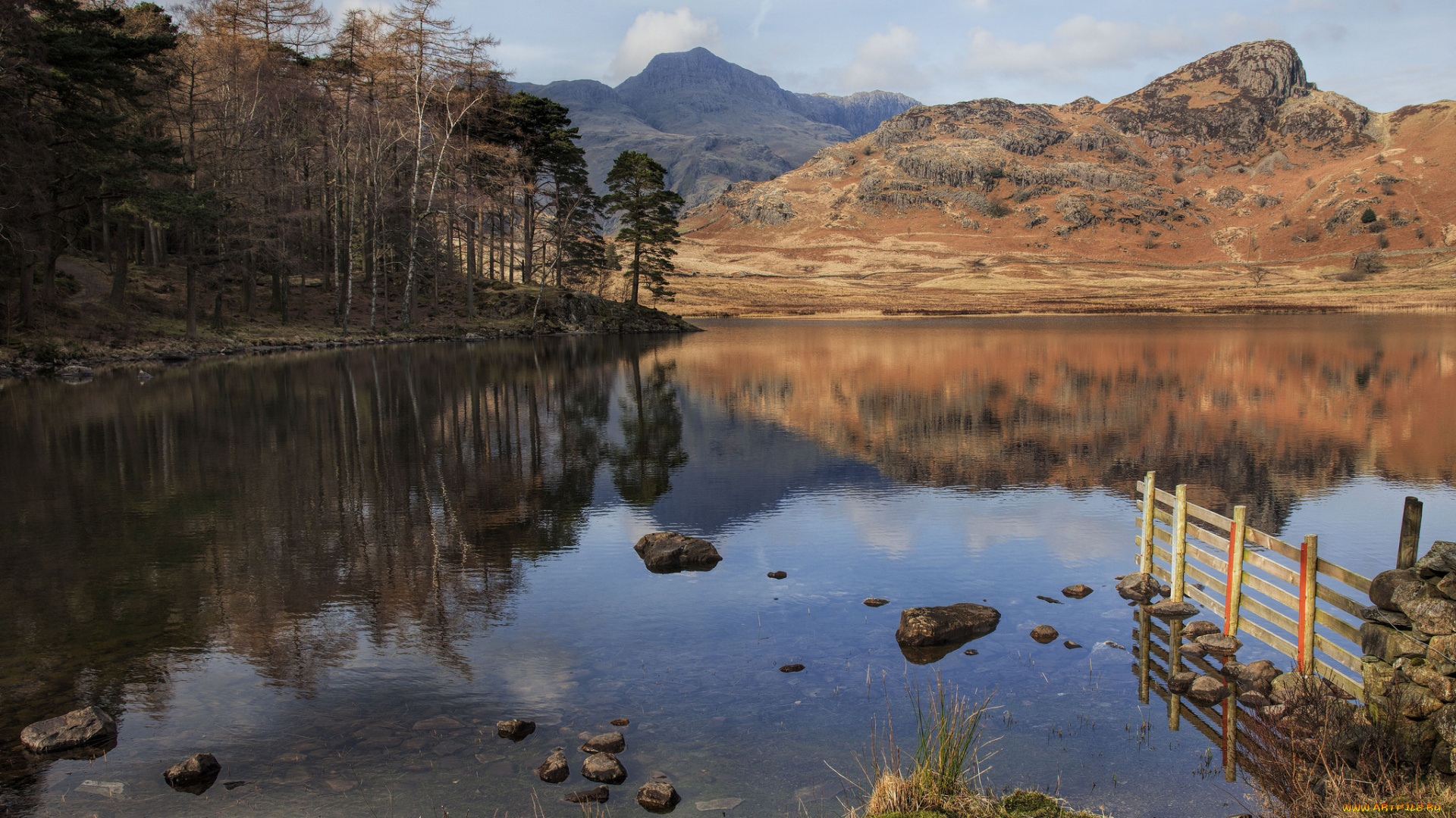 природа, реки, озера, река, лес