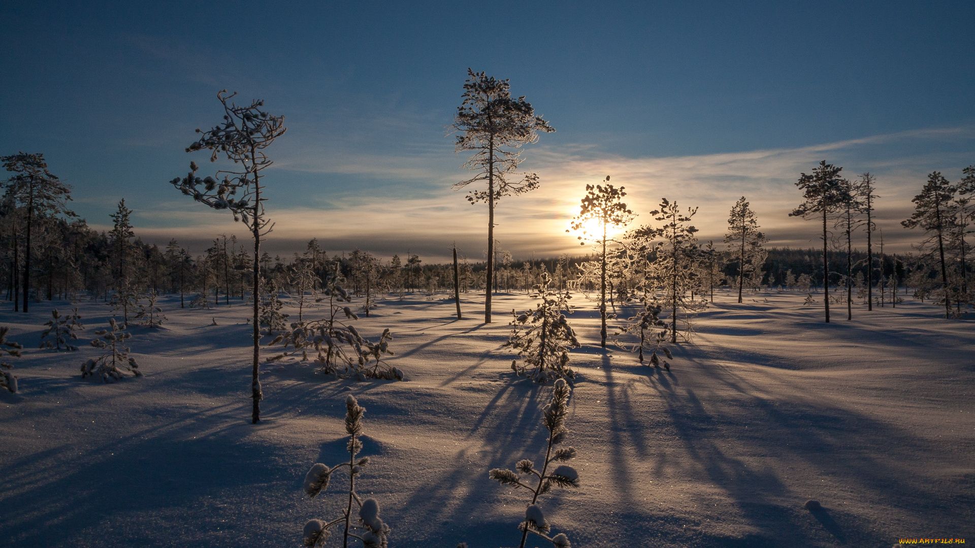 природа, зима, рассвет