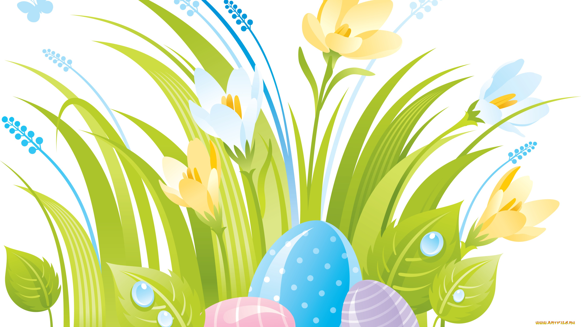 векторная, графика, цветы, , flowers, цветы, бабочки