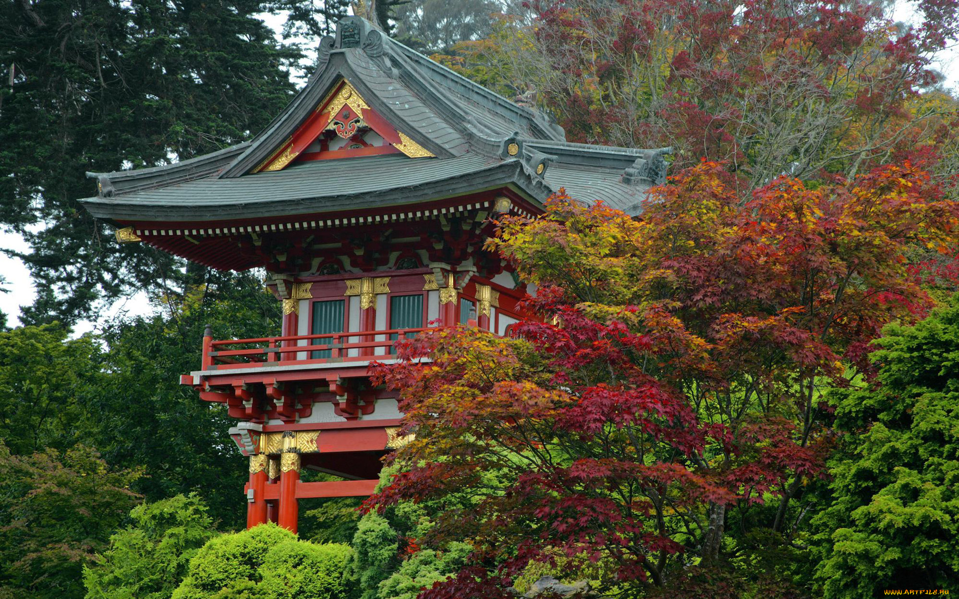 города, -, буддийские, и, другие, храмы, парк, пагода, осень, деревья