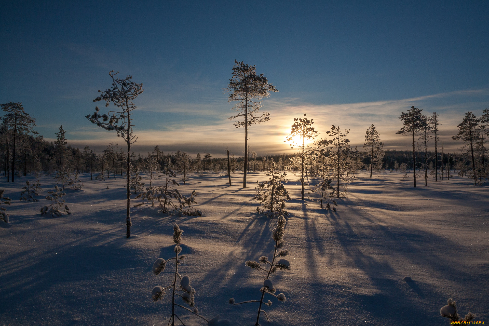 природа, зима, рассвет