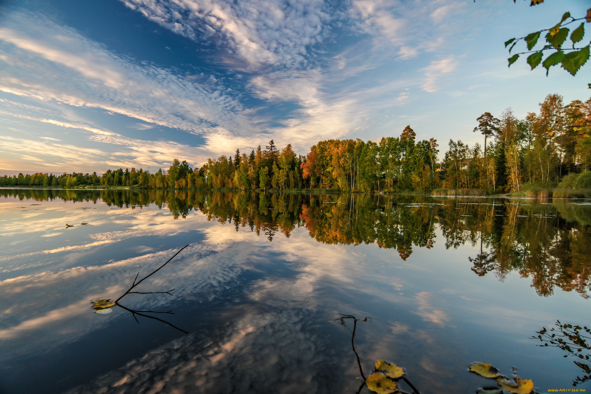 природа, реки, озера, лес, река
