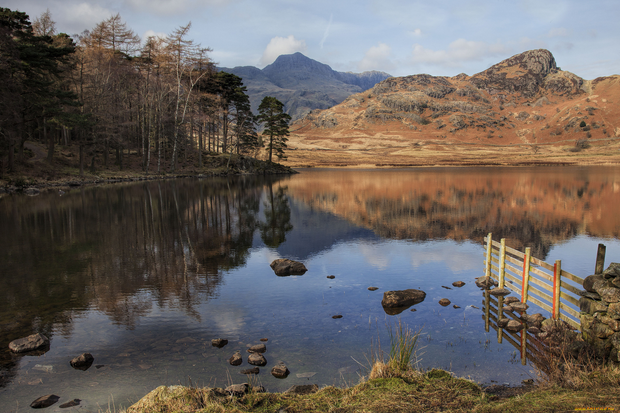 природа, реки, озера, река, лес