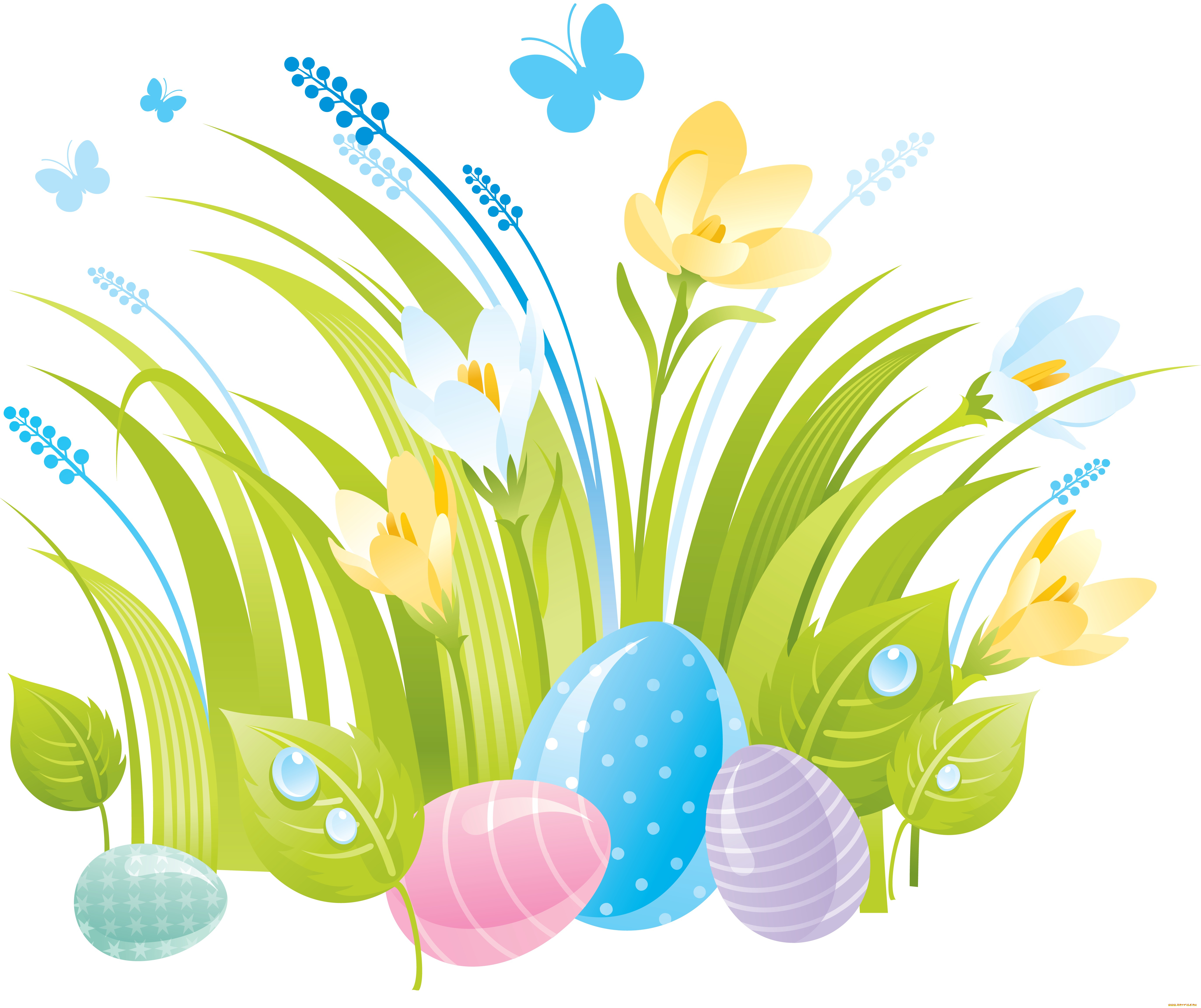 векторная, графика, цветы, , flowers, цветы, бабочки