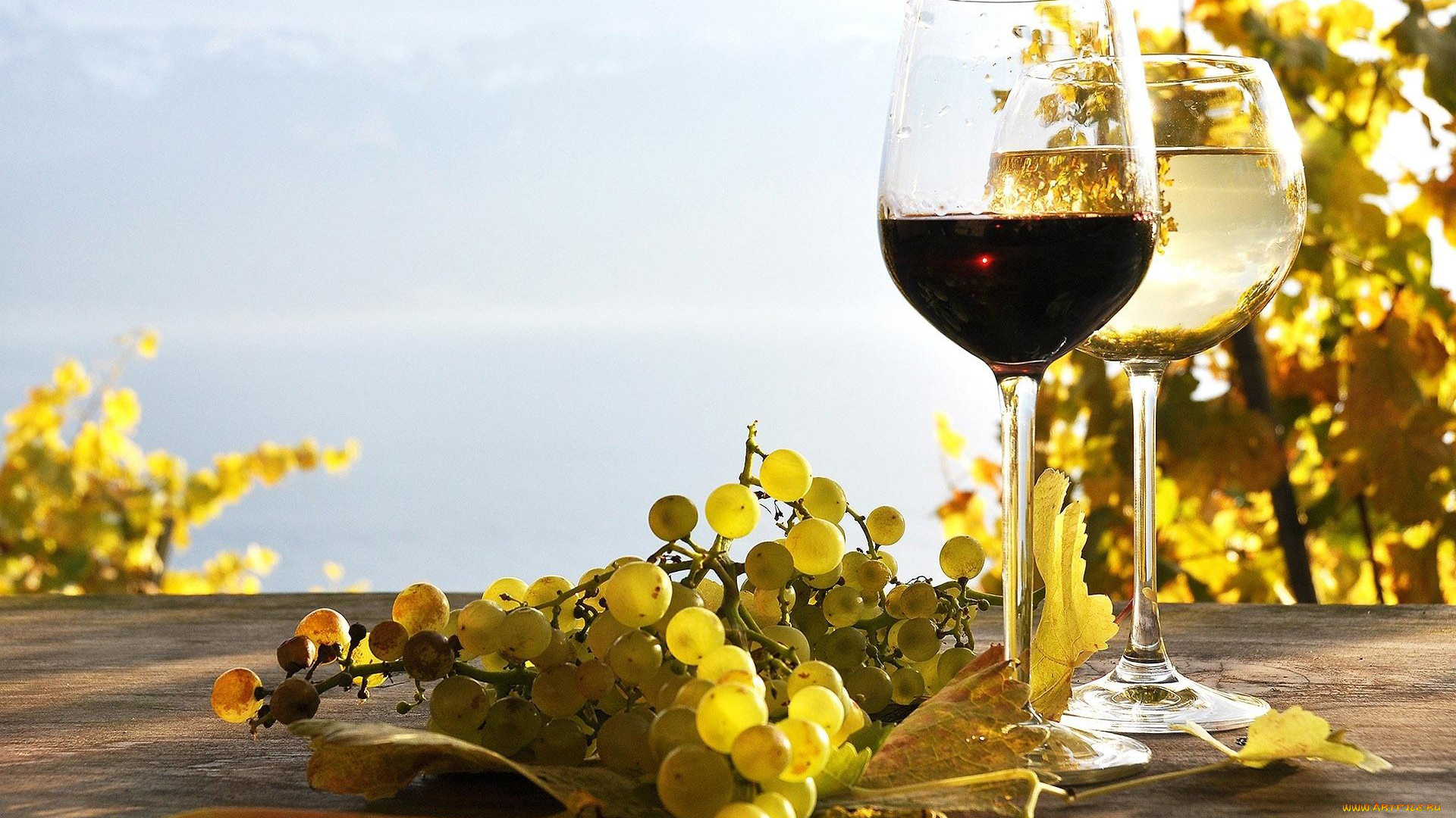 еда, напитки, белое, красное, вино, бокалы, виноград