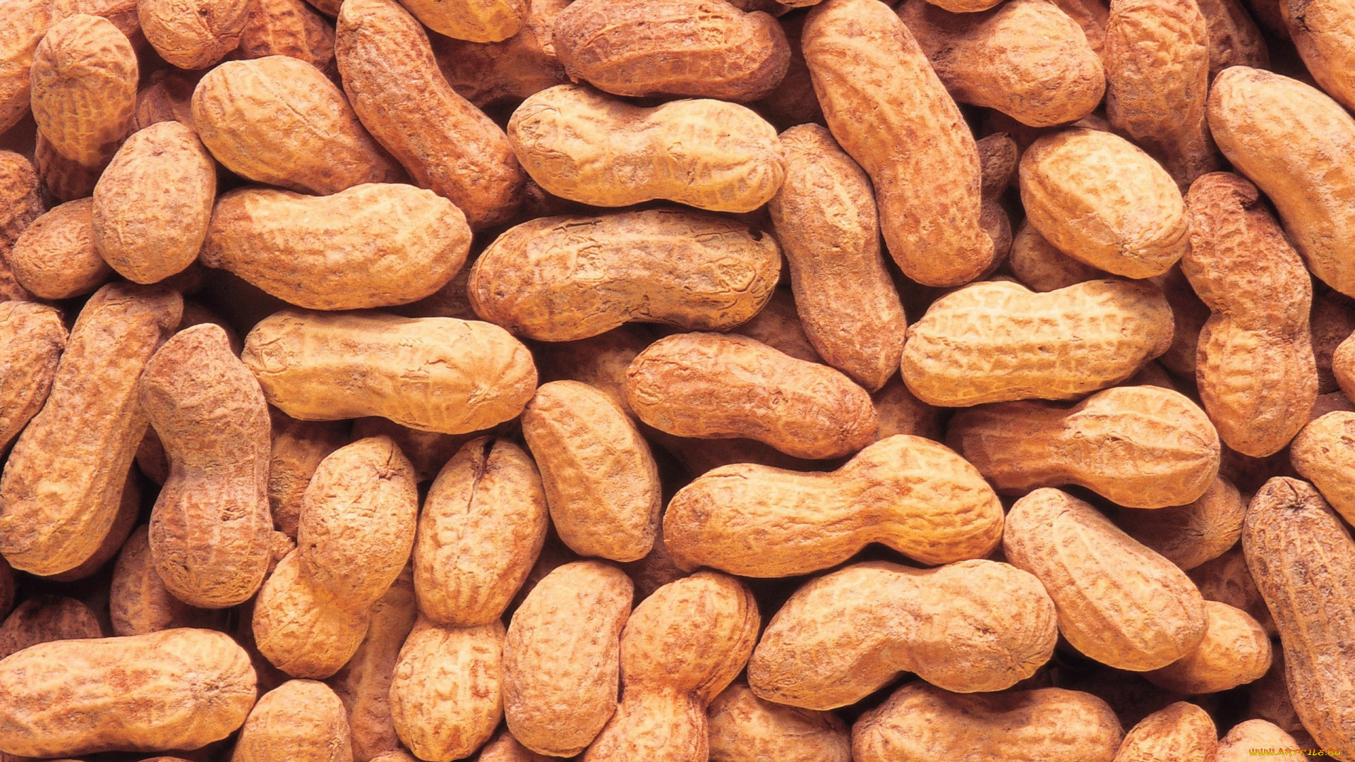 еда, орехи, , каштаны, , какао-бобы, арахис