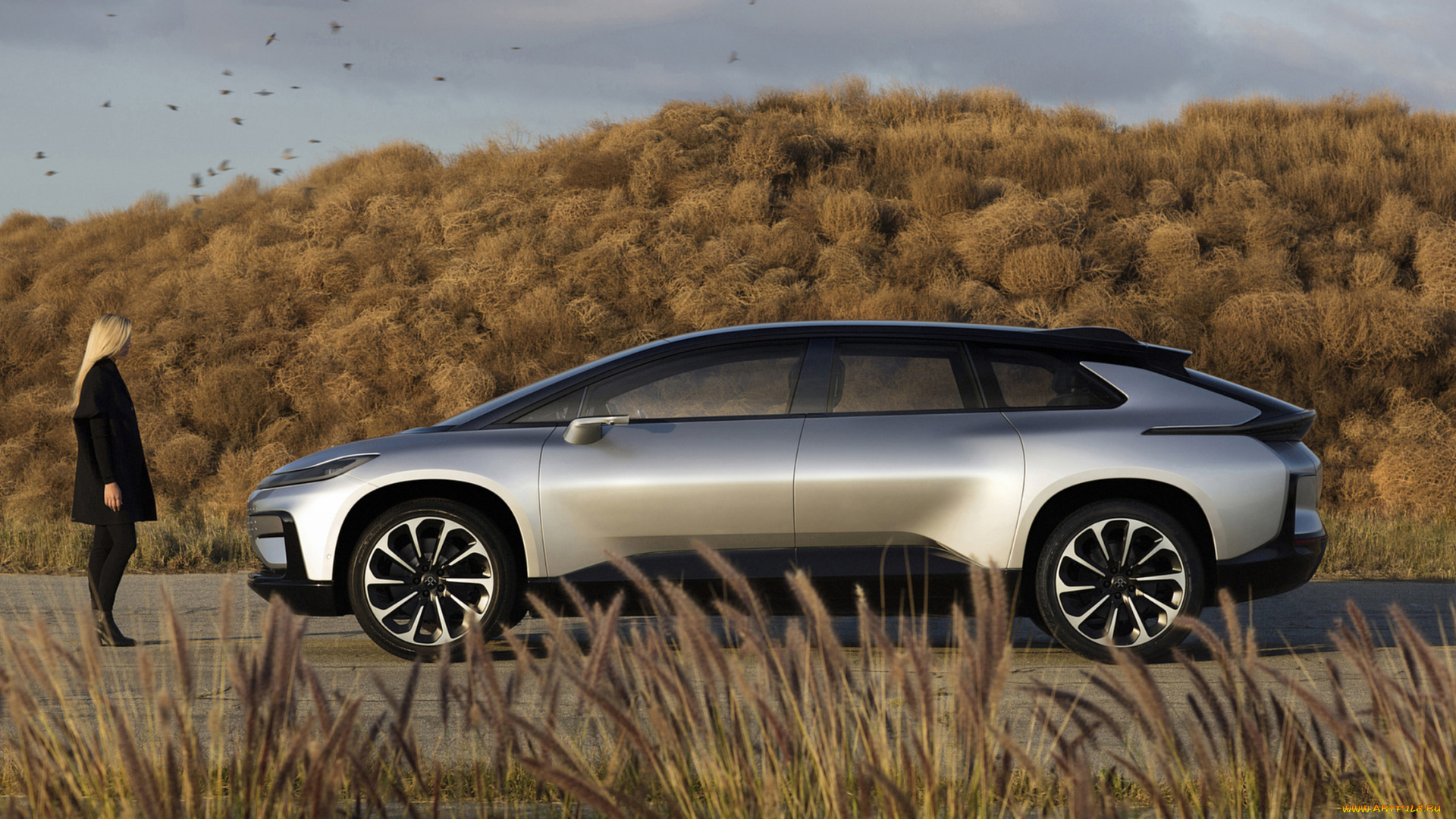 faraday, future, ff-91, concept, 2019, автомобили, -авто, с, девушками, 2019, concept, ff-91, future, faraday