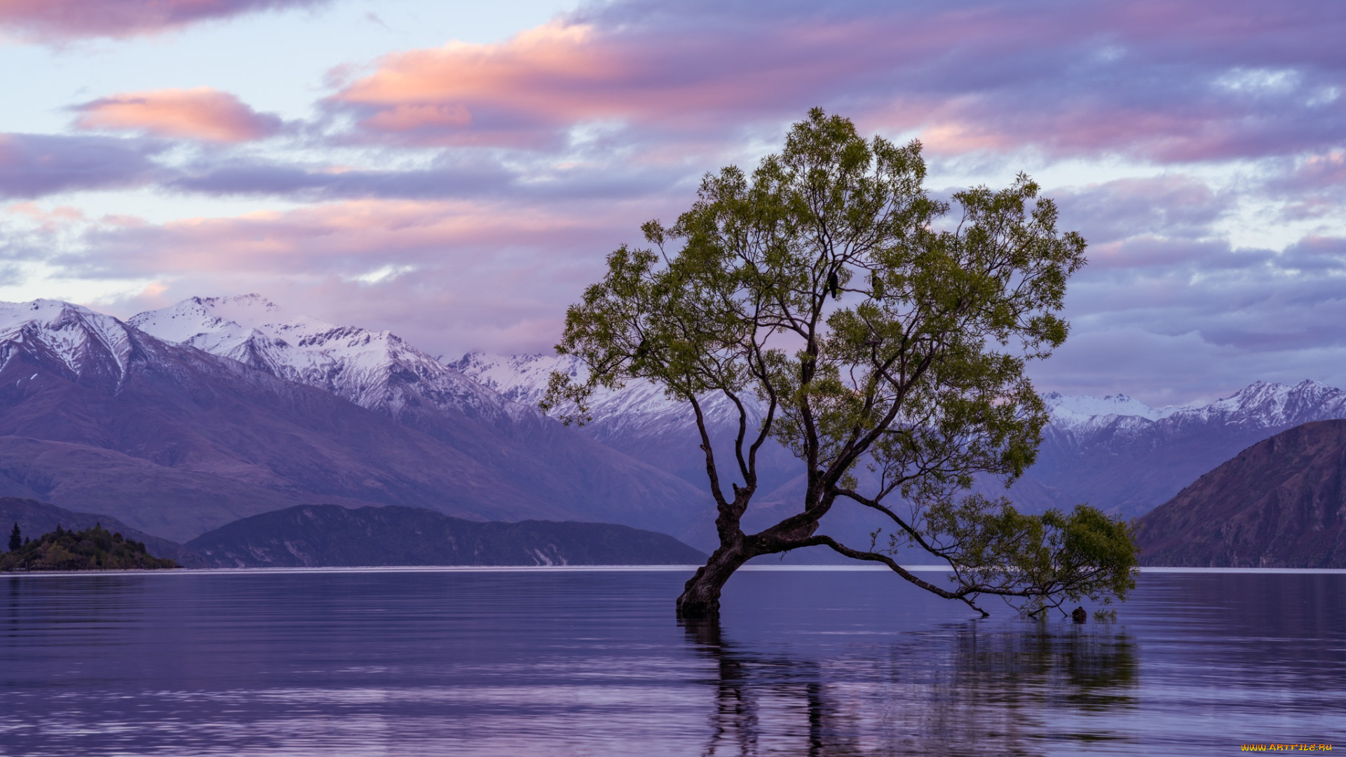 природа, деревья, дерево, озеро