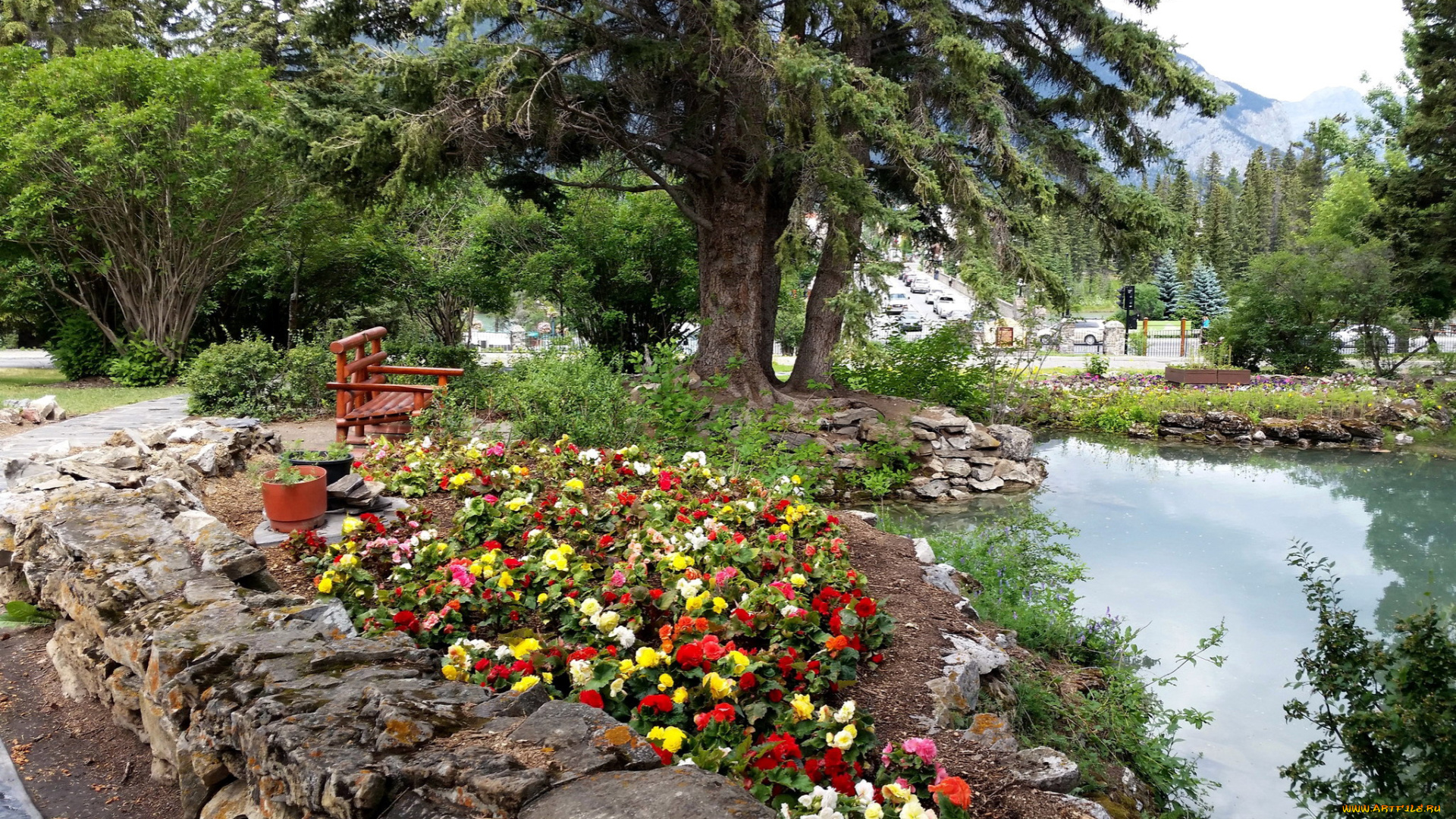 природа, парк, клумба, водоем, деревья, скамейка