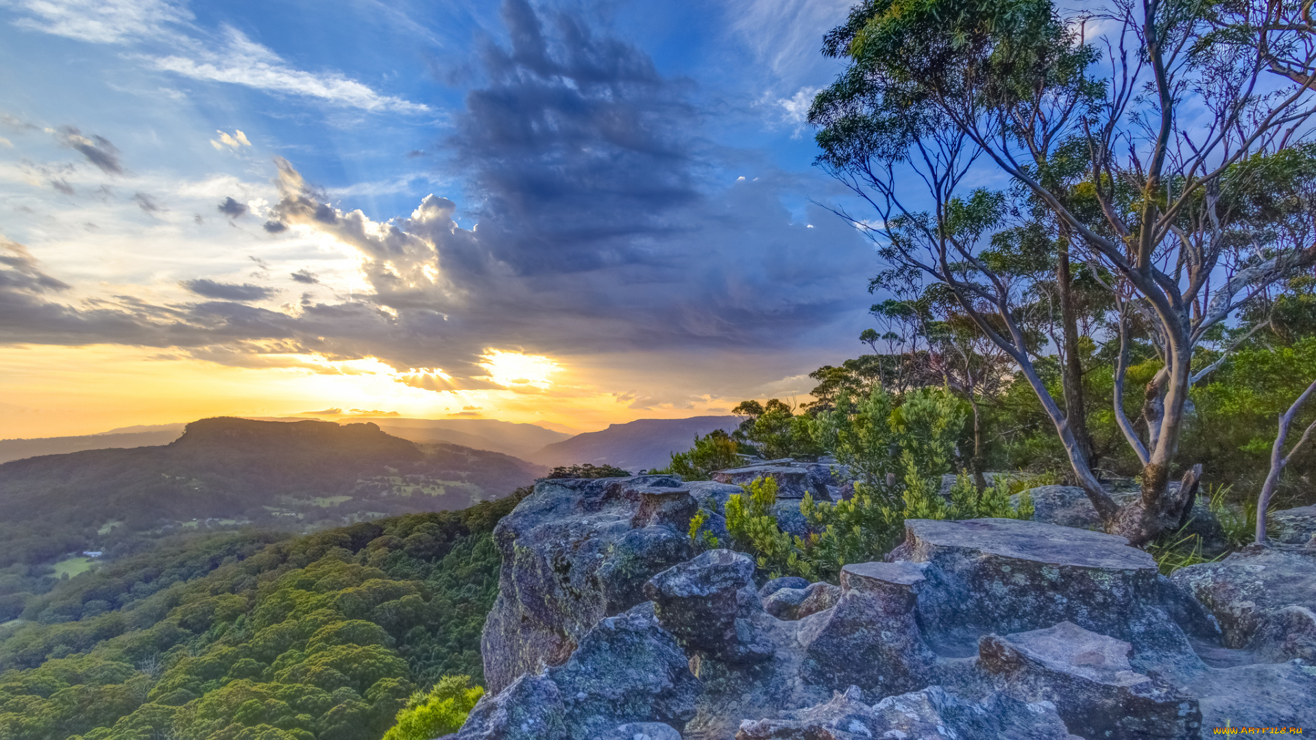 природа, пейзажи, простор