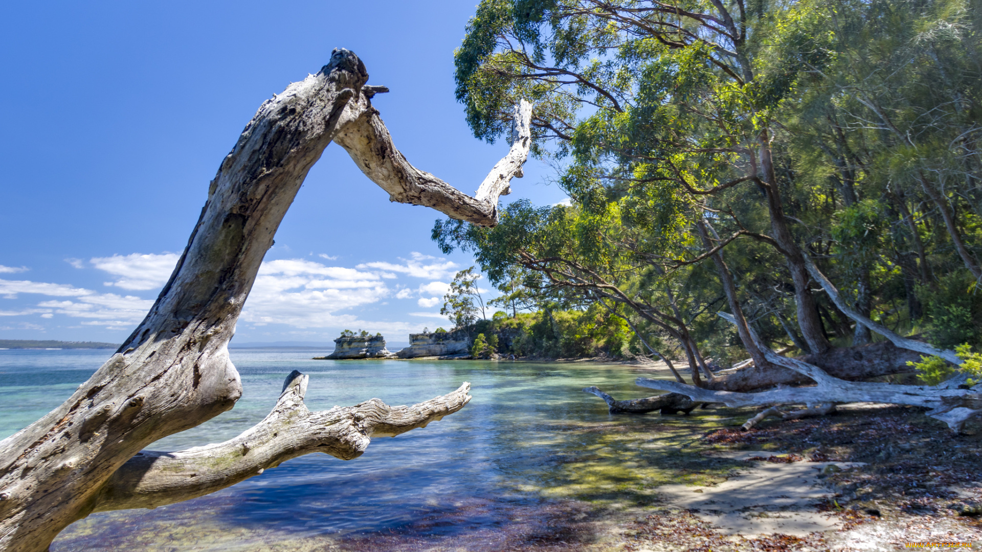 природа, побережье, простор