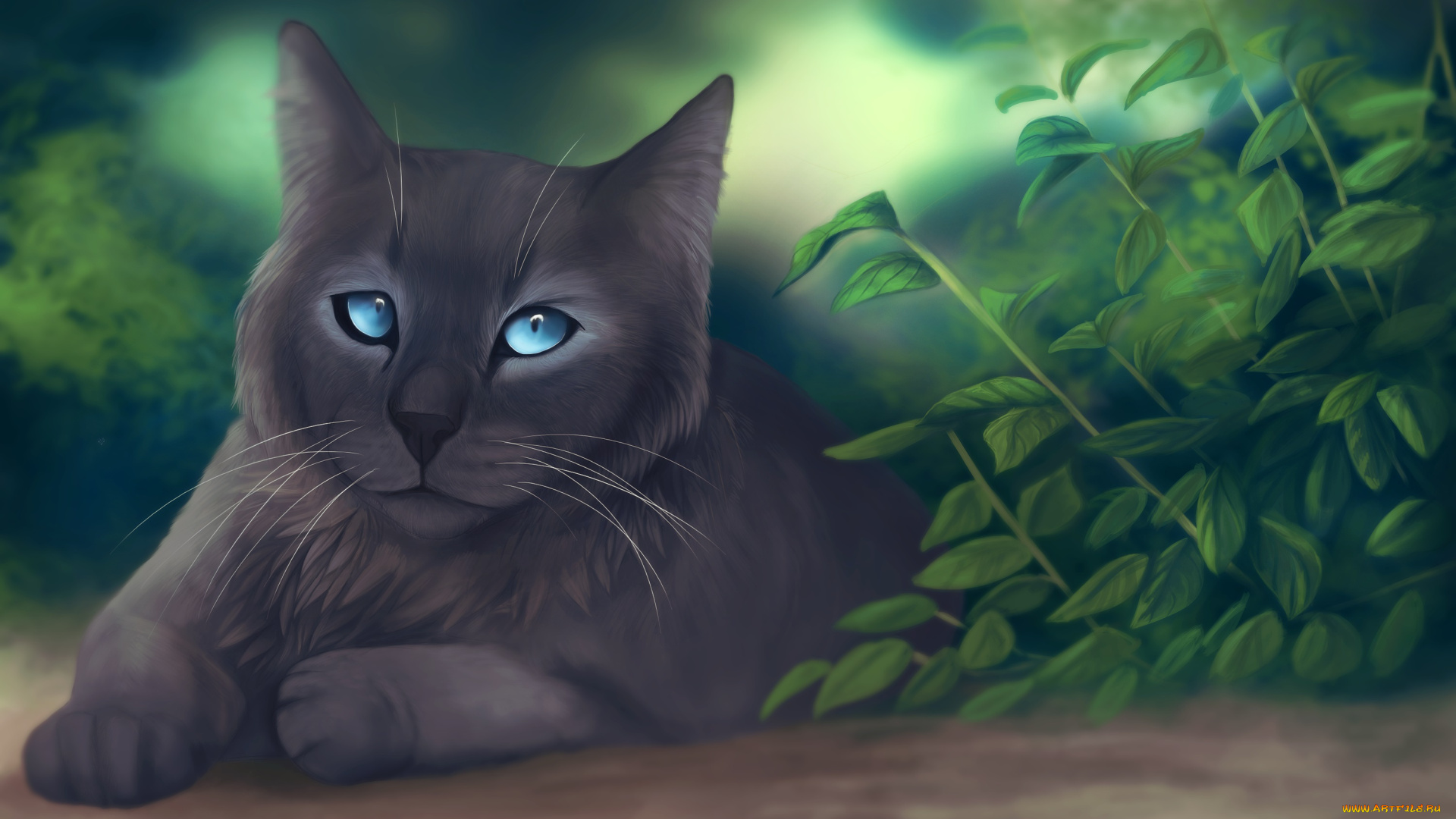 рисованное, животные, , коты, кот