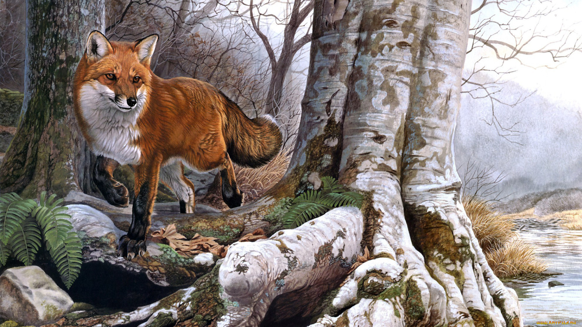 рисованное, животные, плутовка, рыжая, лиса, корни, дерево