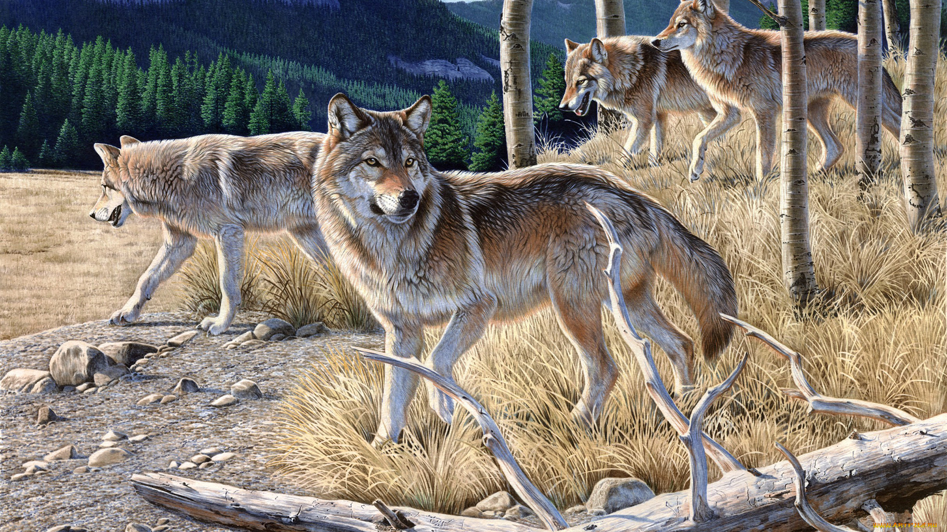 рисованное, животные, волки, хищники, бревно, лес, стая