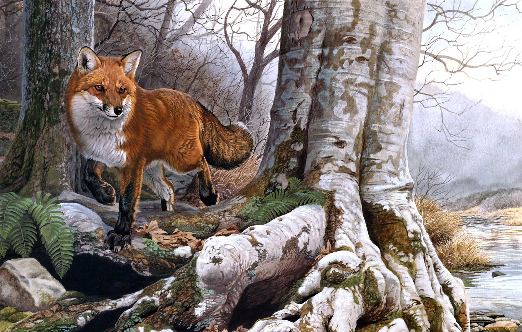 рисованное, животные, плутовка, рыжая, лиса, корни, дерево