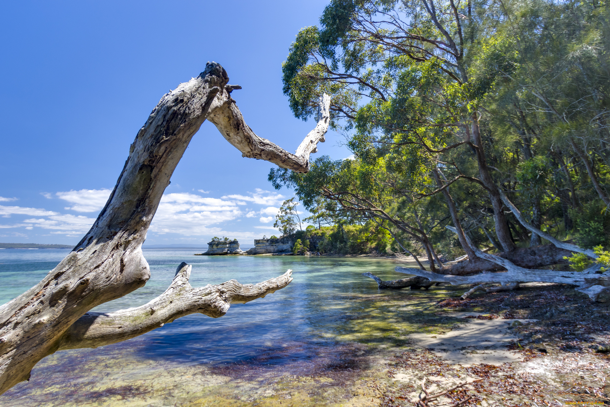природа, побережье, простор
