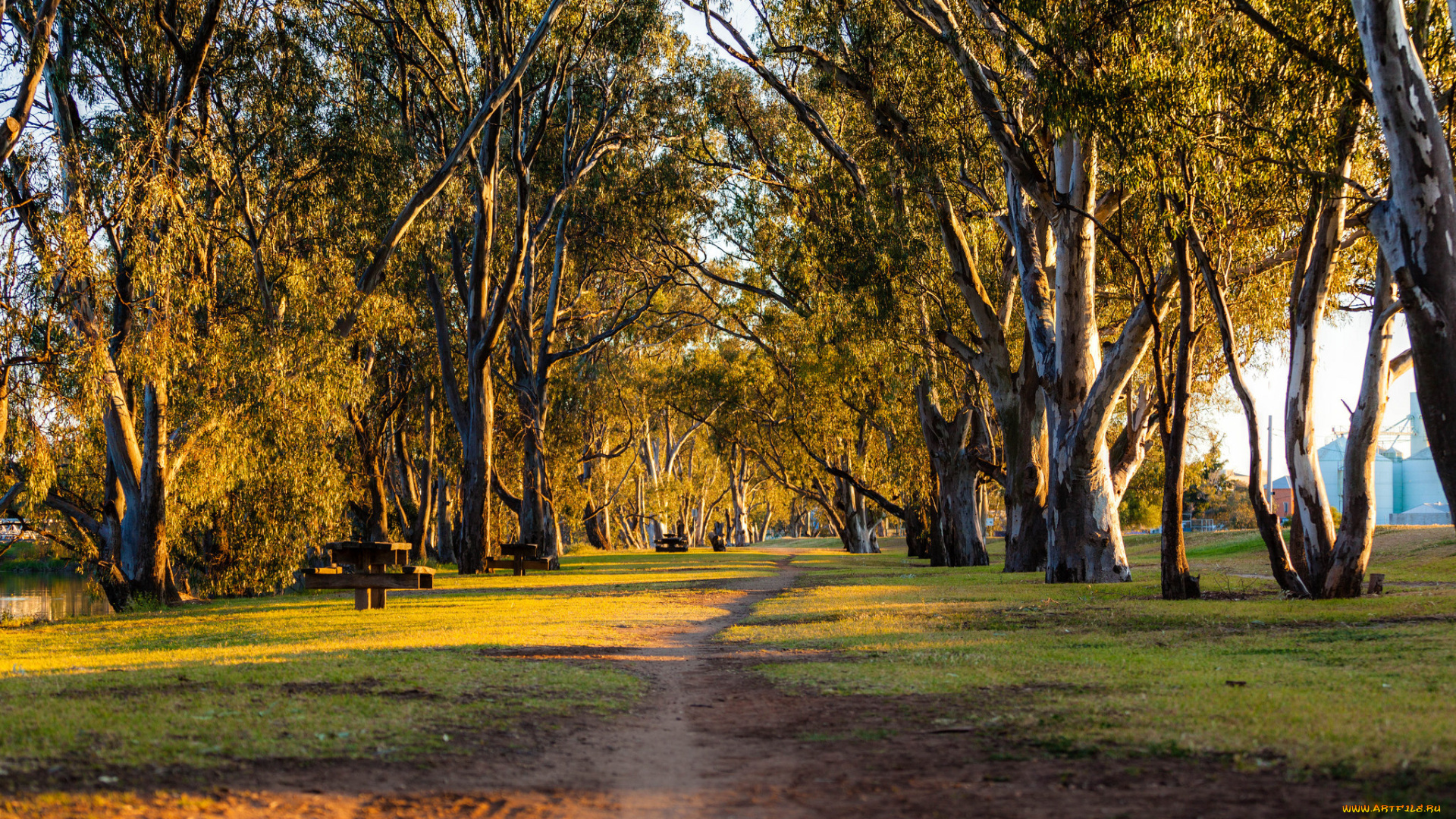 природа, дороги, простор