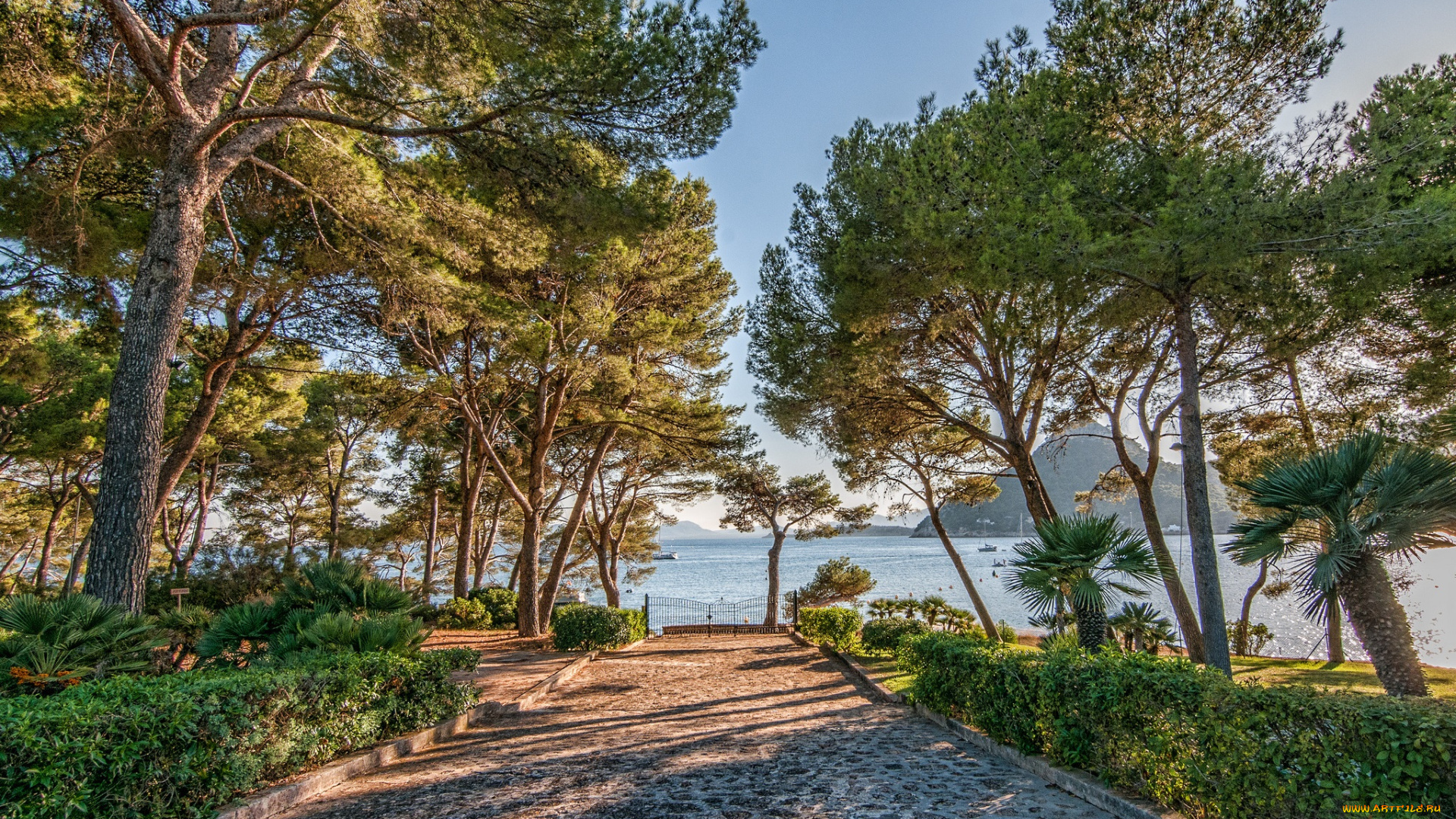 природа, дороги, простор