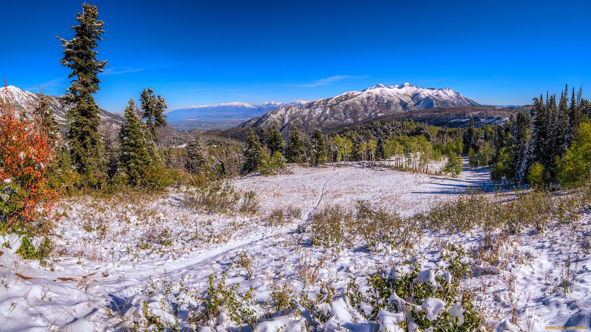 природа, пейзажи, простор