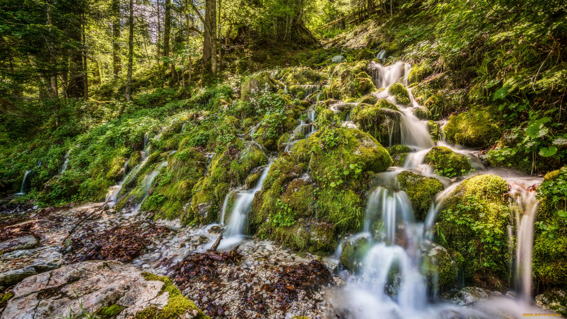 природа, реки, озера, простор