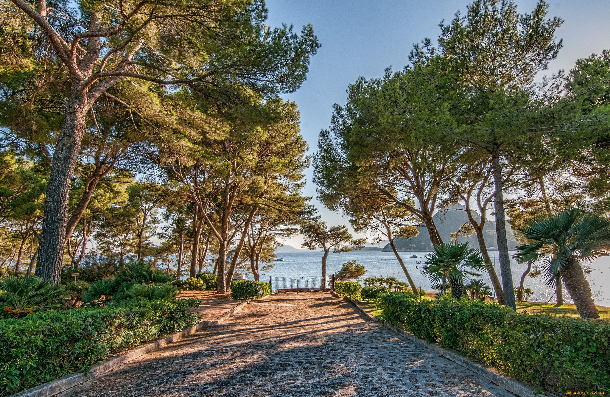 природа, дороги, простор