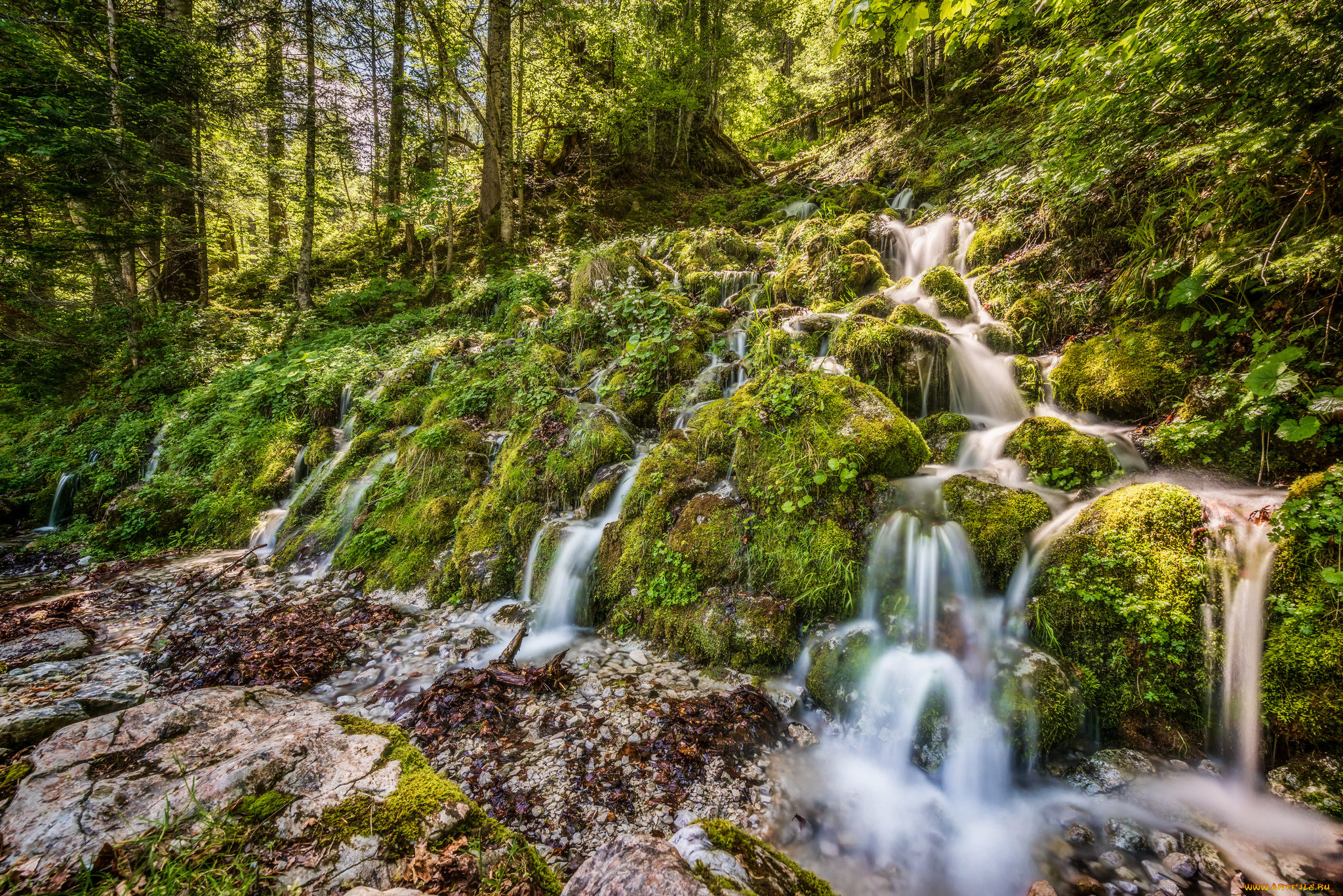 природа, реки, озера, простор