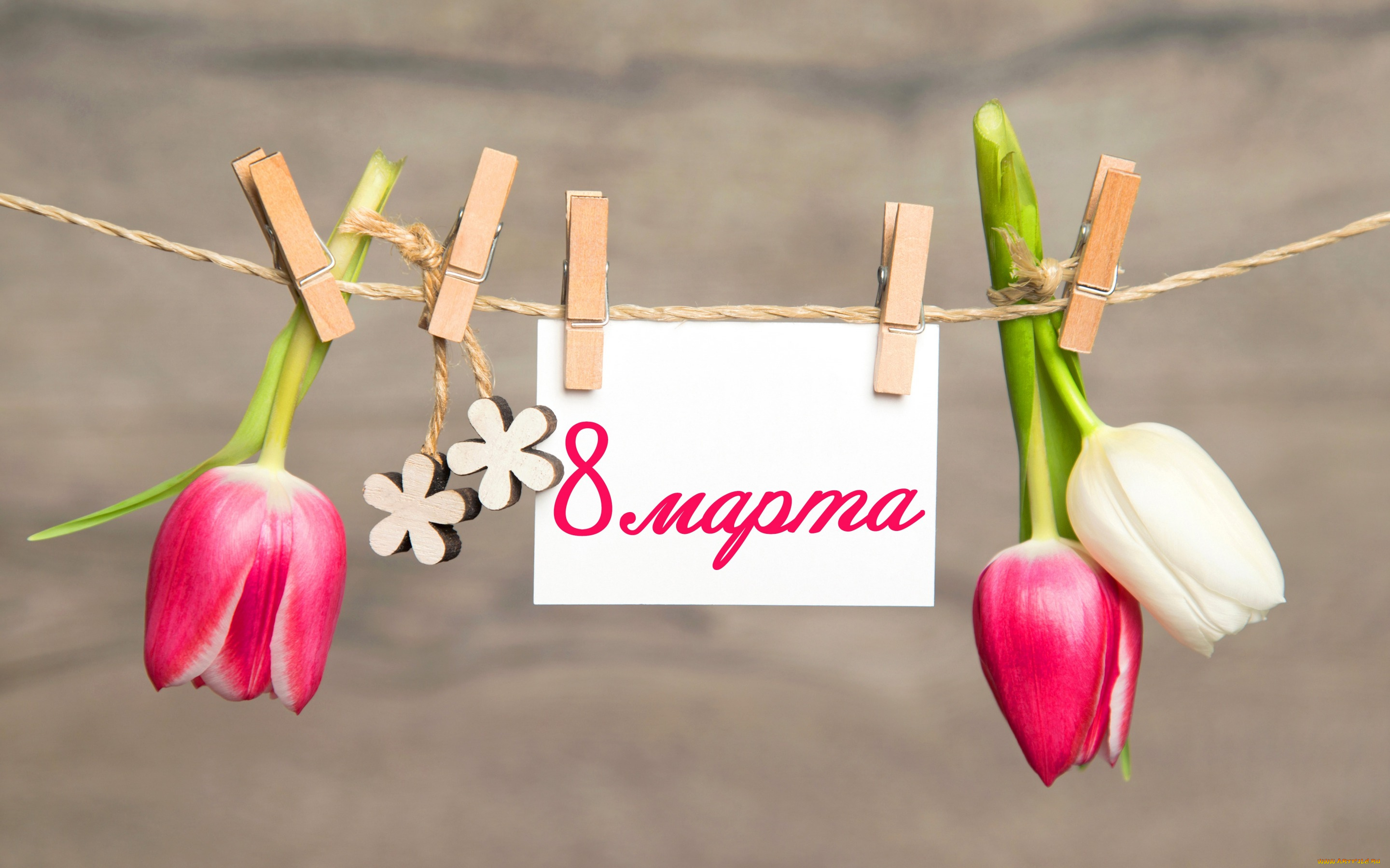 праздничные, международный, женский, день, -, 8, марта, flowers, прищепки, spring, открытка, tulips, romantic, 8, марта, тюльпаны, pink, цветы