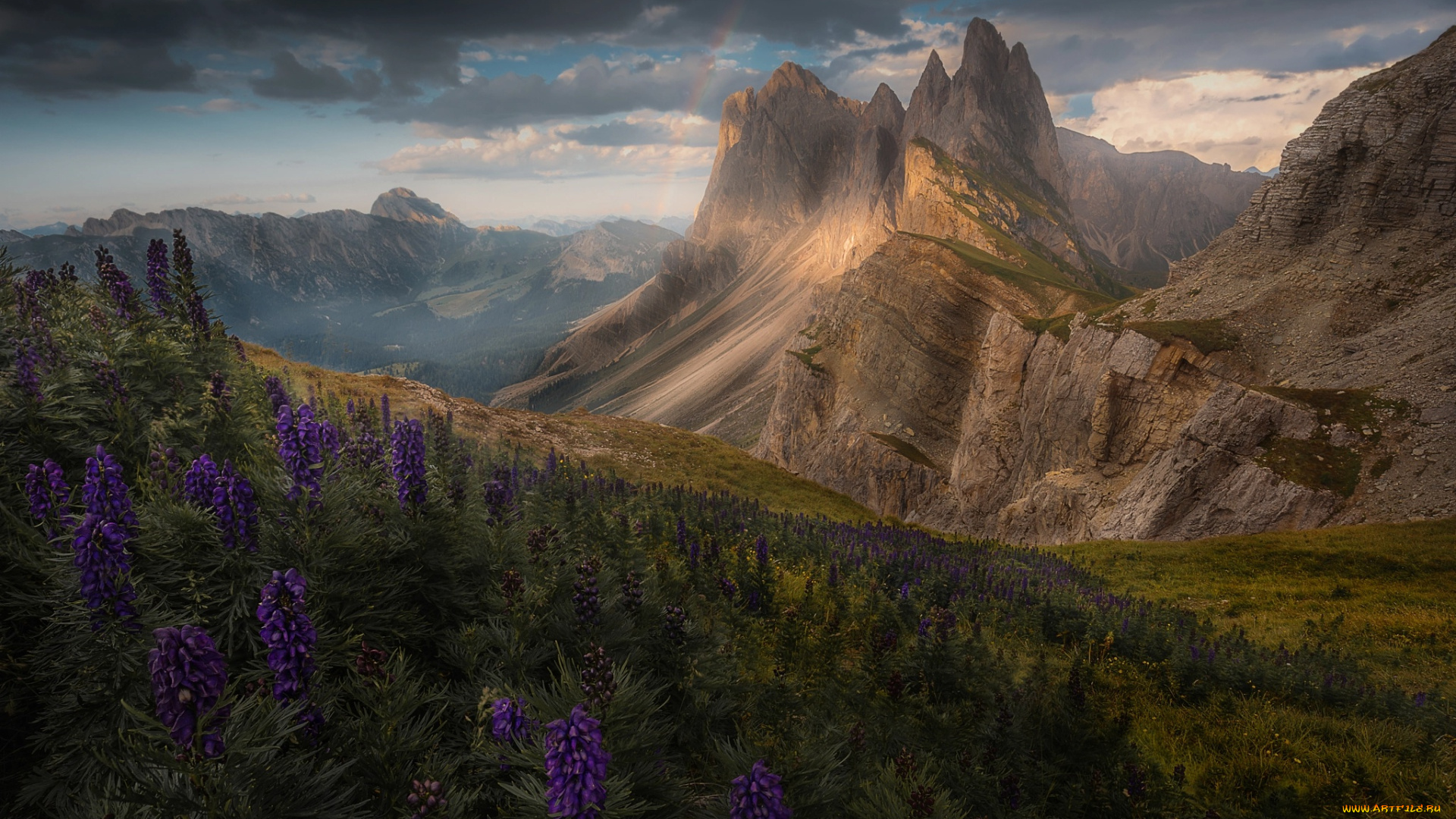 природа, горы, альпы, радуга, цветы