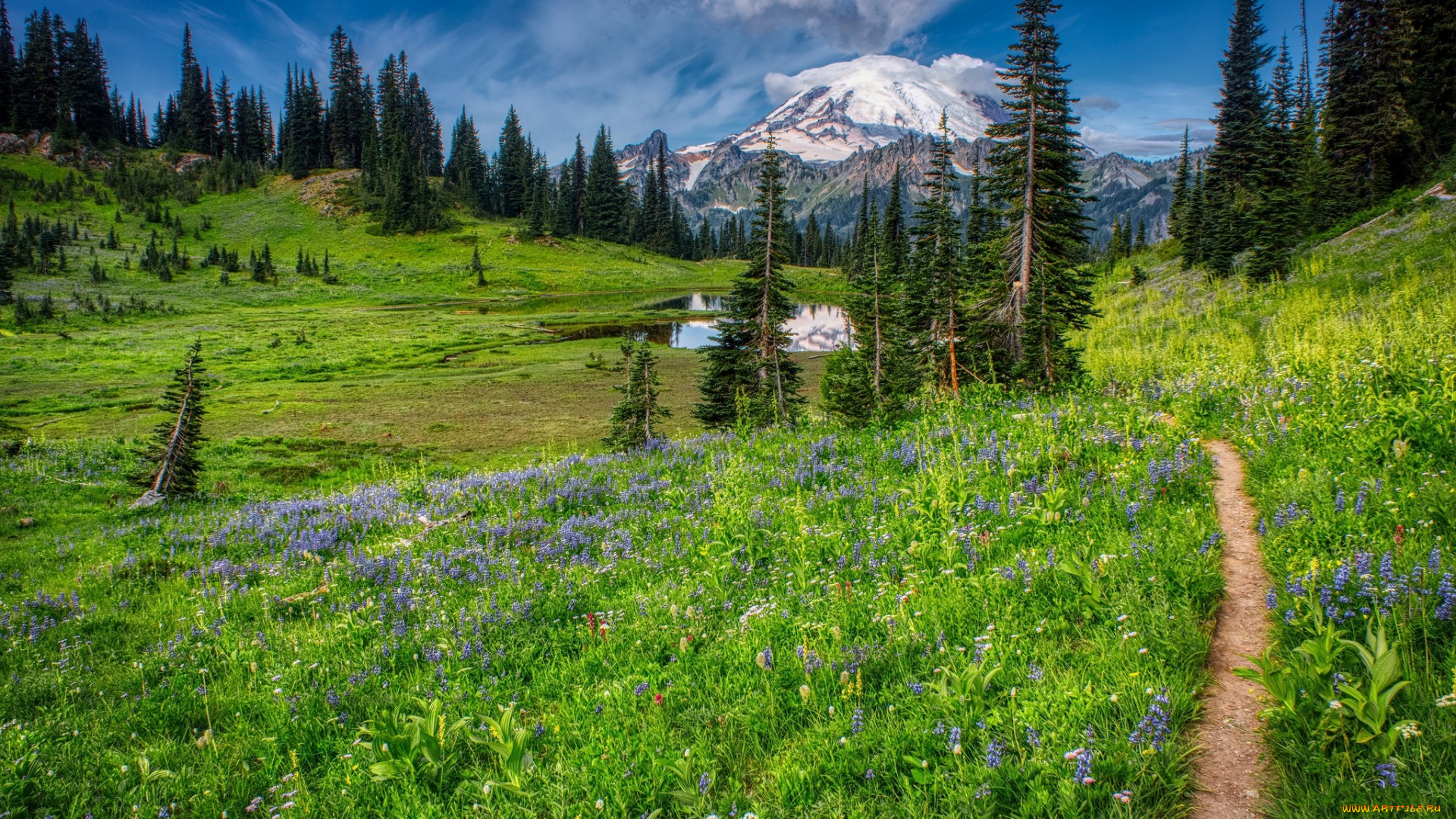 природа, пейзажи, простор