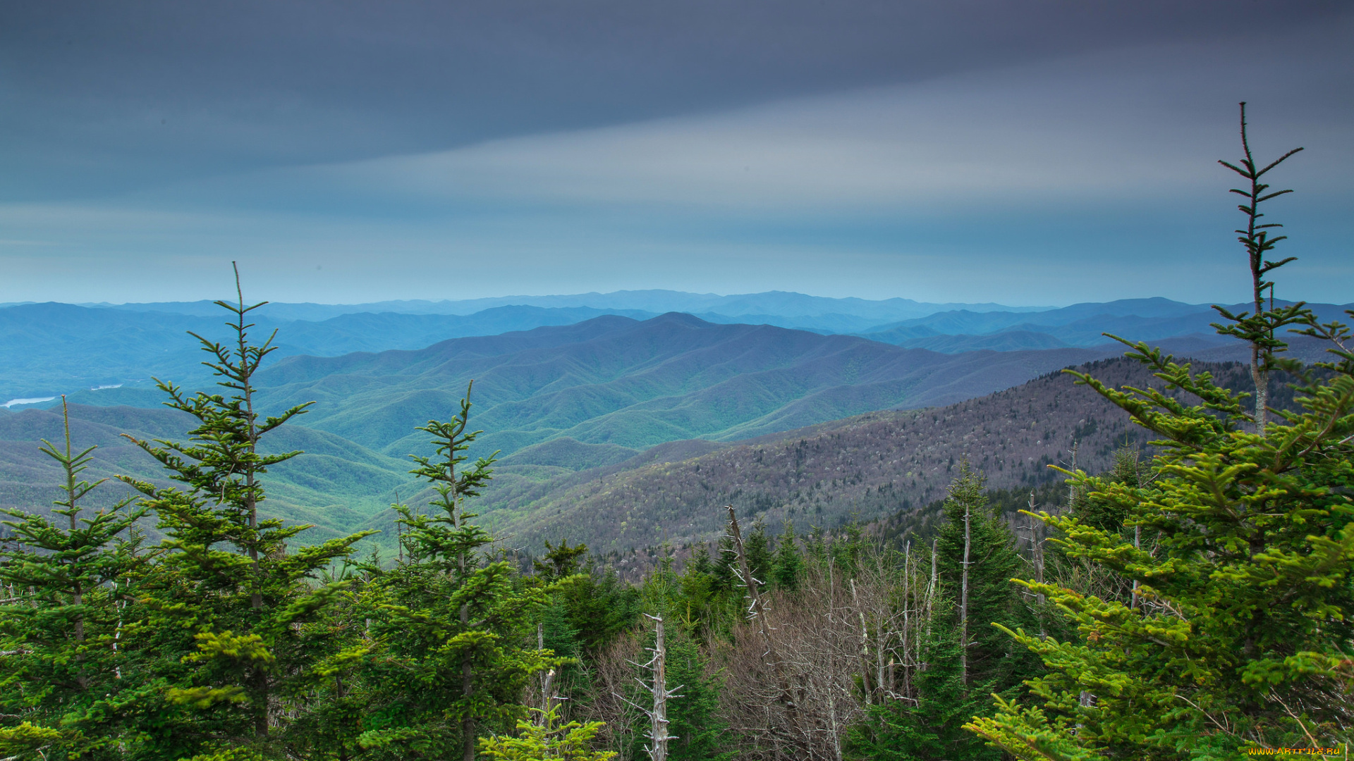 природа, пейзажи, простор