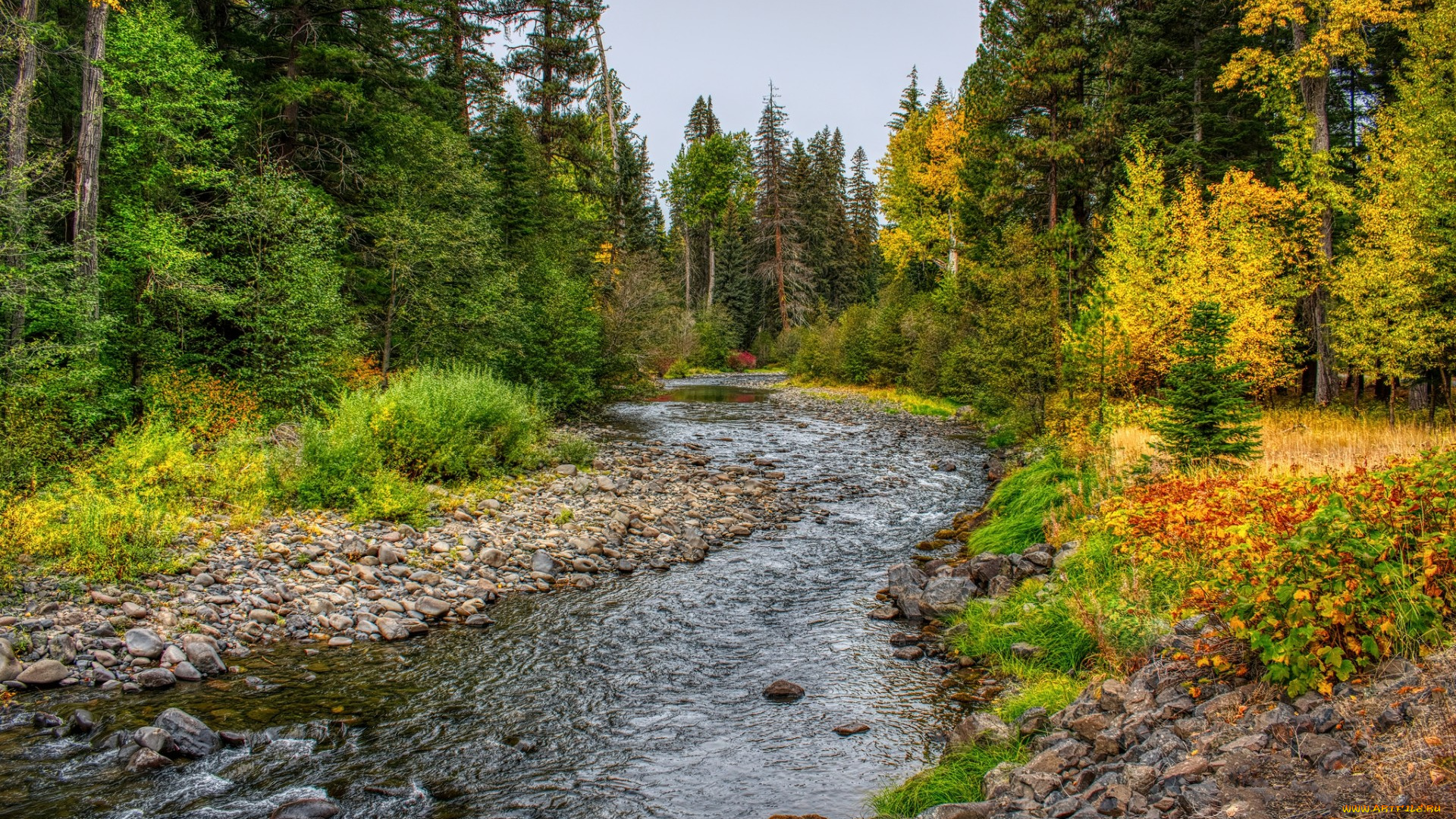 природа, реки, озера, простор