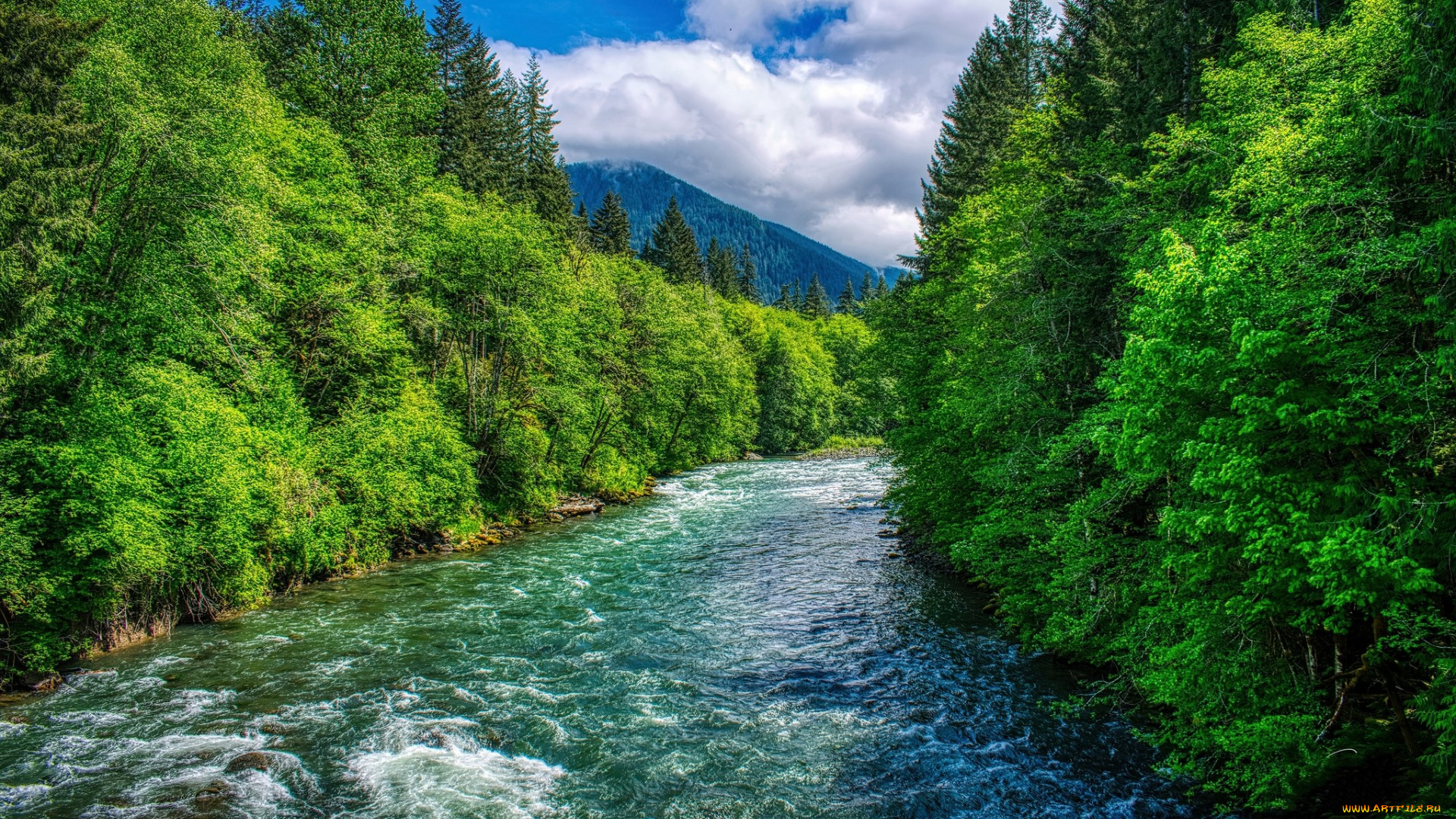 природа, реки, озера, простор