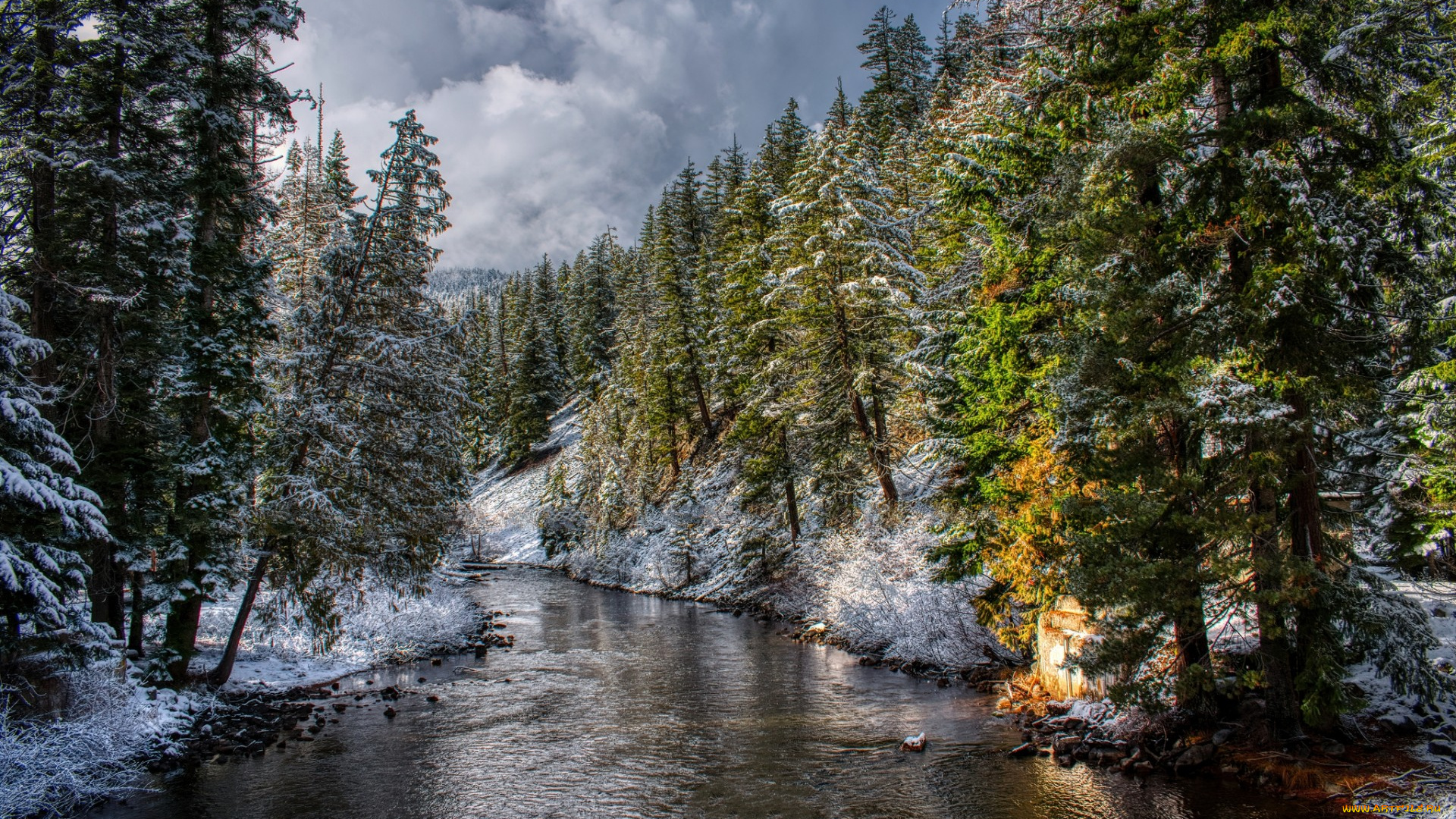 природа, реки, озера, простор