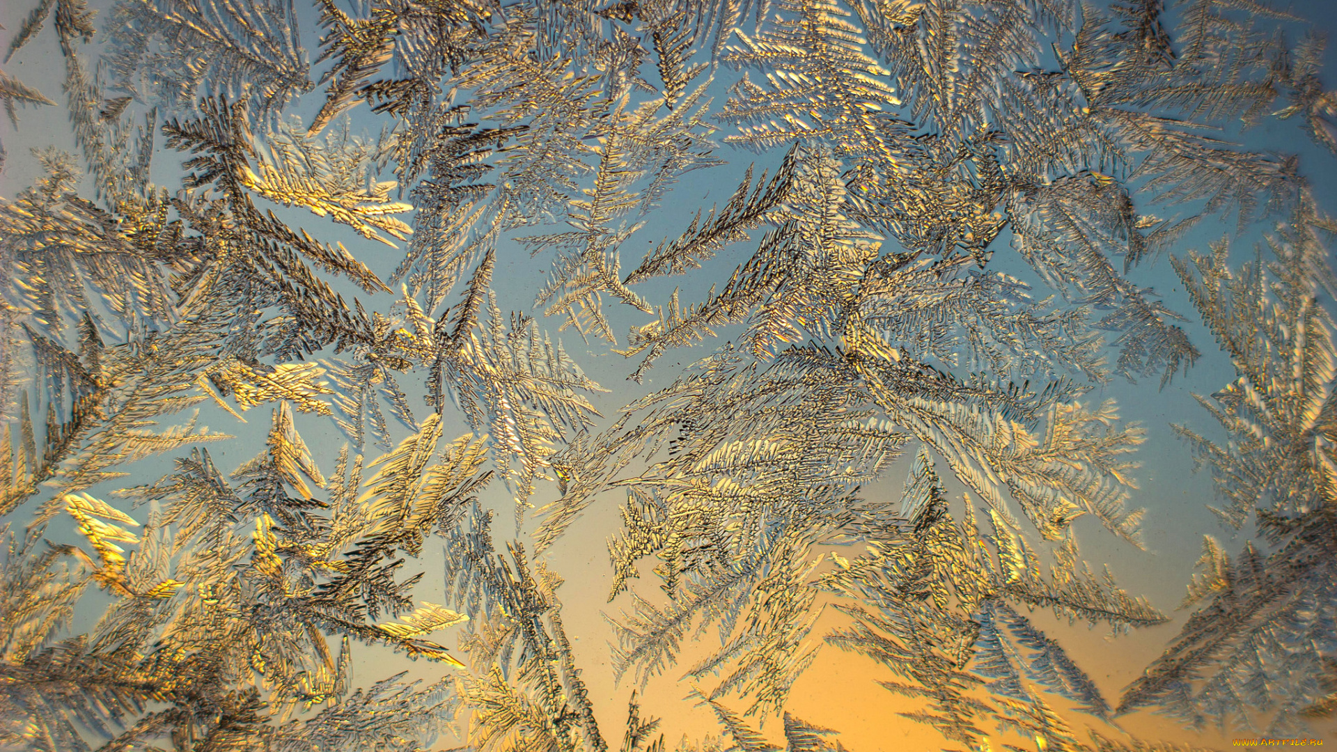 природа, зима, простор